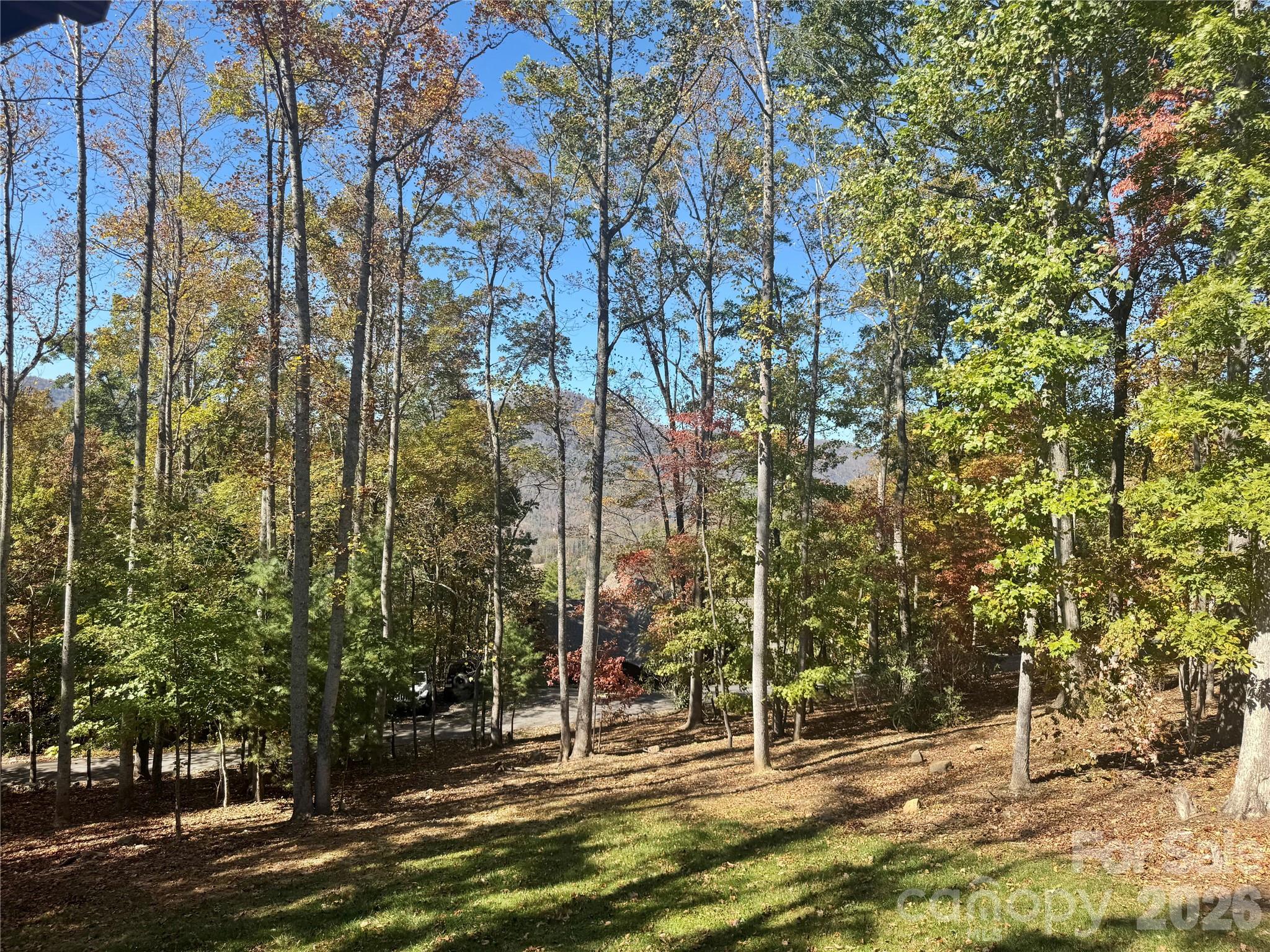 Enjoy Seasonal views! - 501 Sugar Maple Lane, Asheville