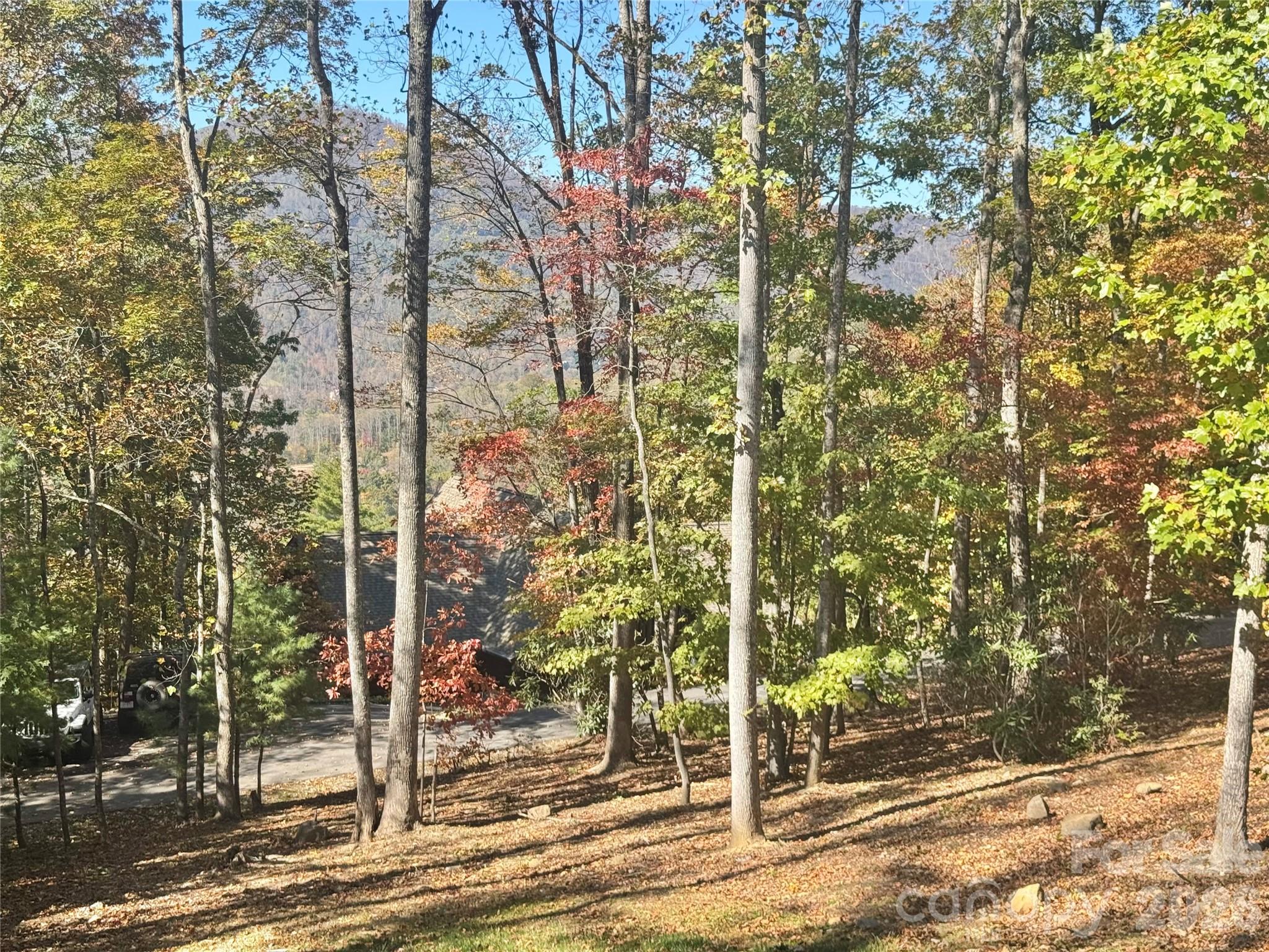 Gentle lot and beautiful surroundings - 501 Sugar Maple Lane, Asheville