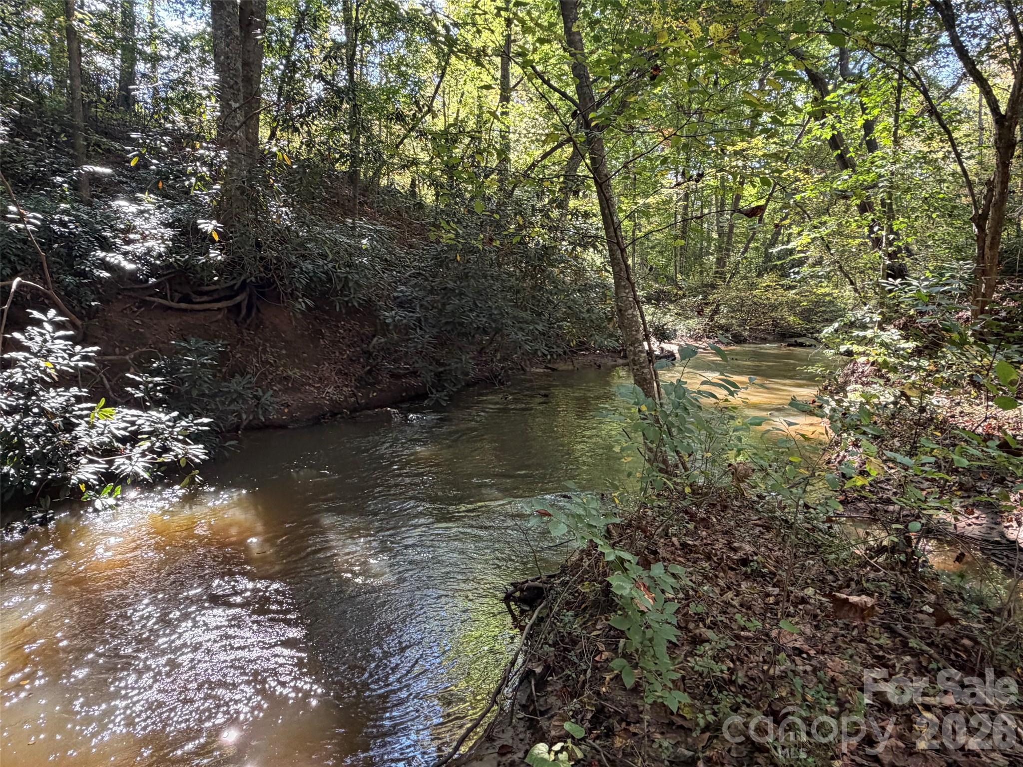 Creek on the property - 242 Falling Creek Drive, Nebo