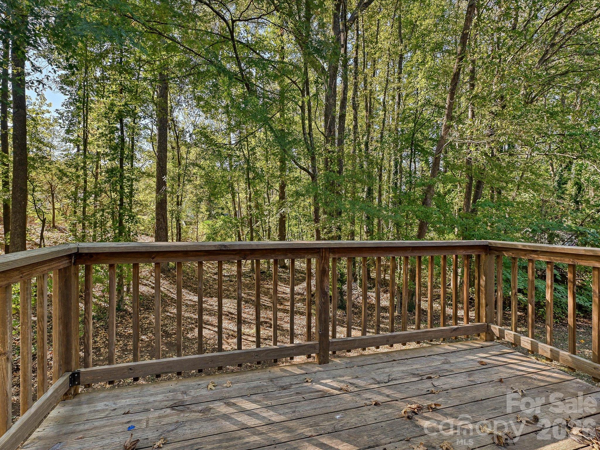 Main Level Deck - 10446 Club Car Court, Mint Hill