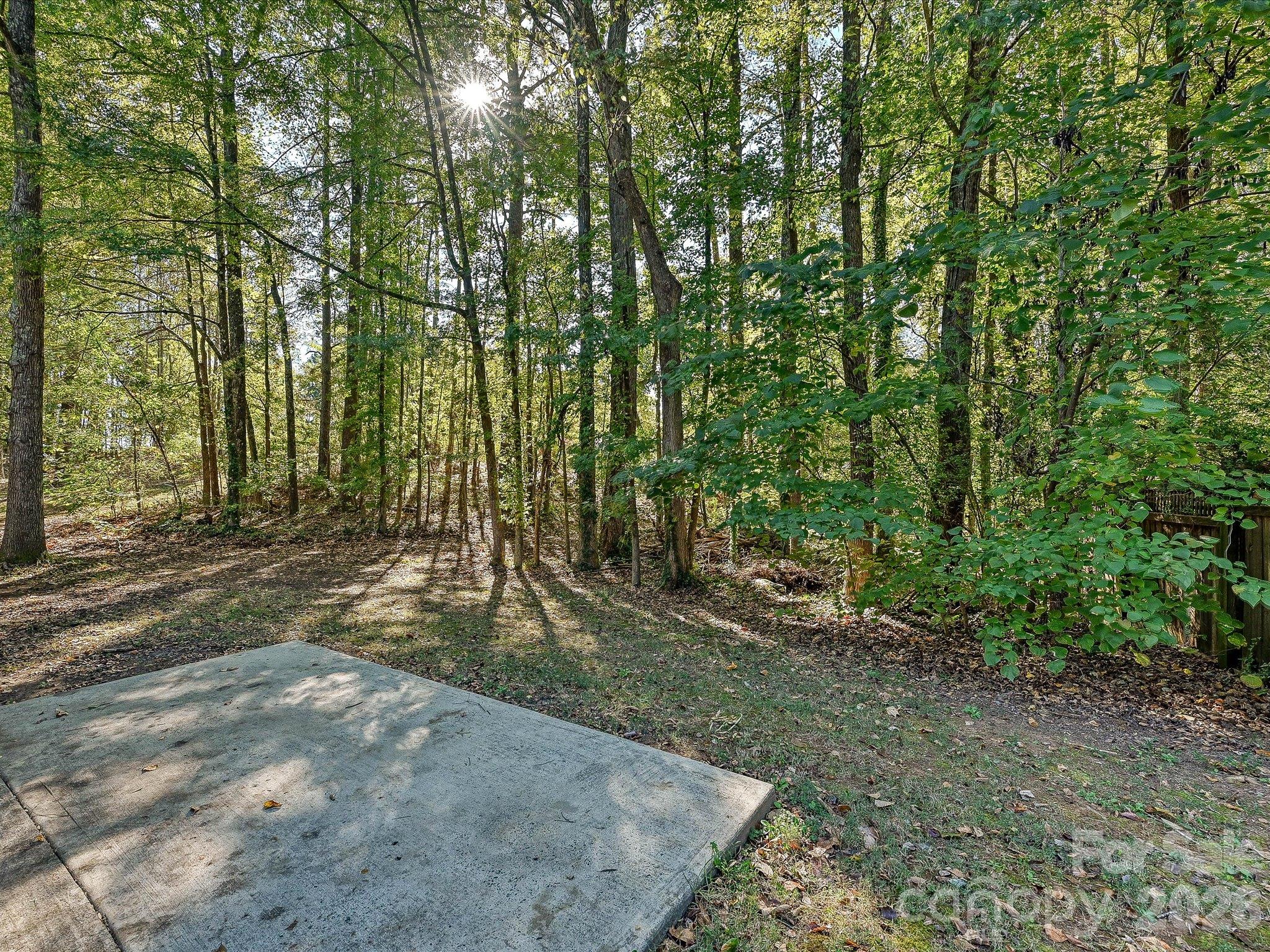 Backyard - 10446 Club Car Court, Mint Hill