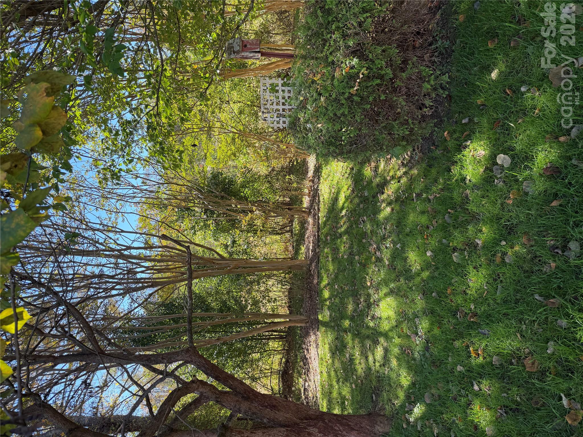 lovely shaded back yard - 205 Misty Lane, Hendersonville