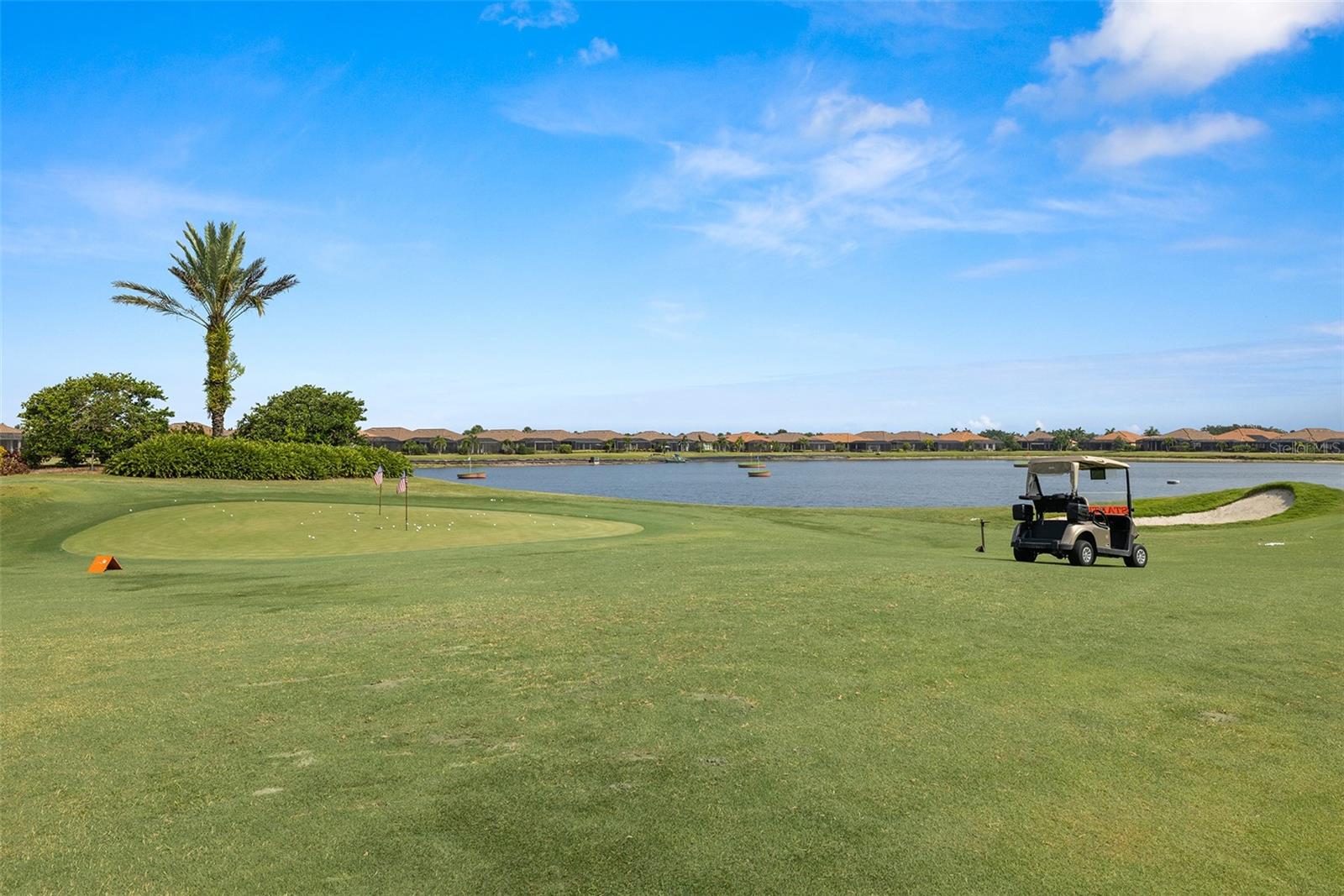 Pitch chip and put - 4723 BENITO CT, BRADENTON