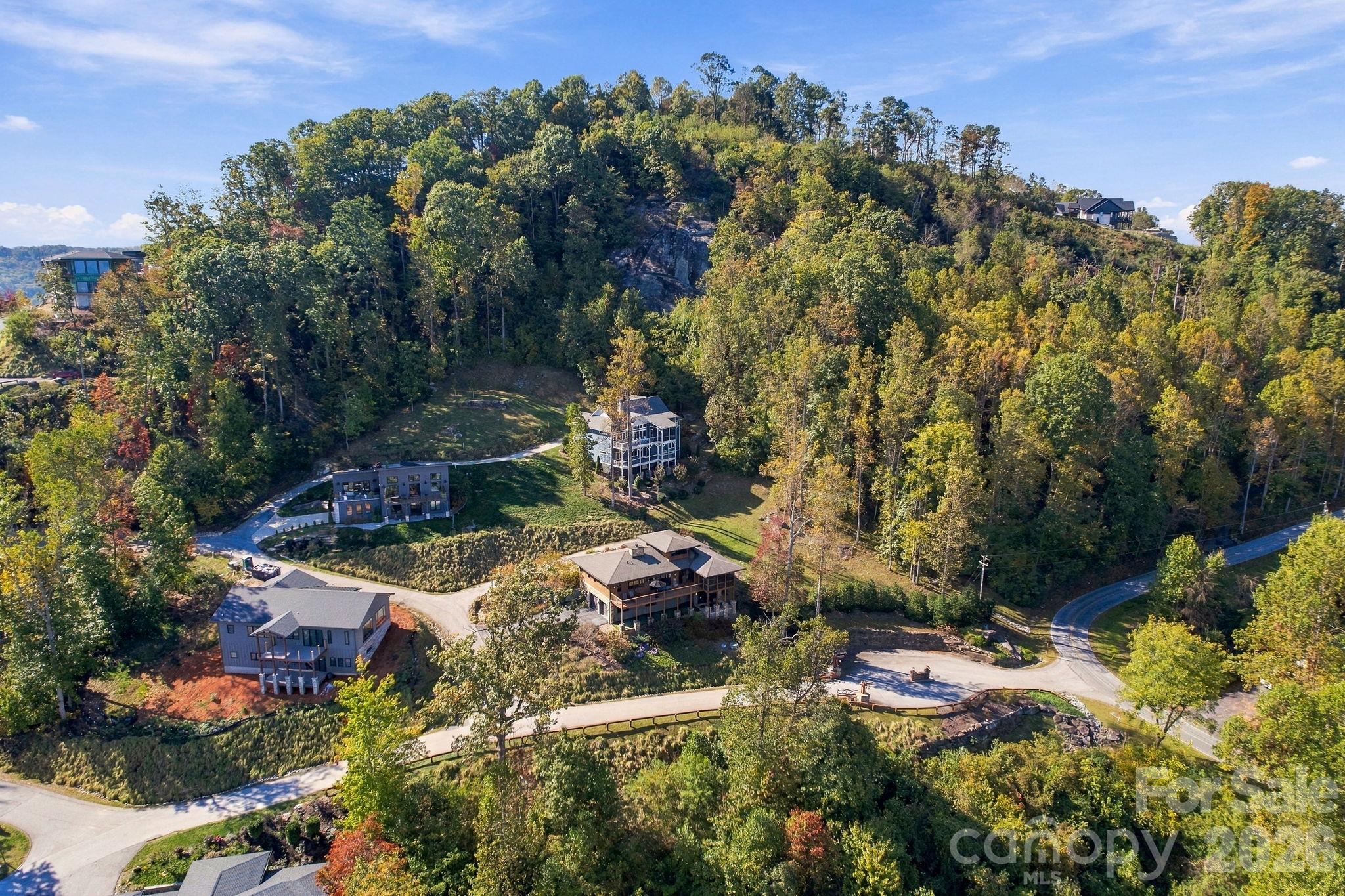 Single Family Residence at 10 Rock Cliff Way, Hendersonville, photo 3 of 48