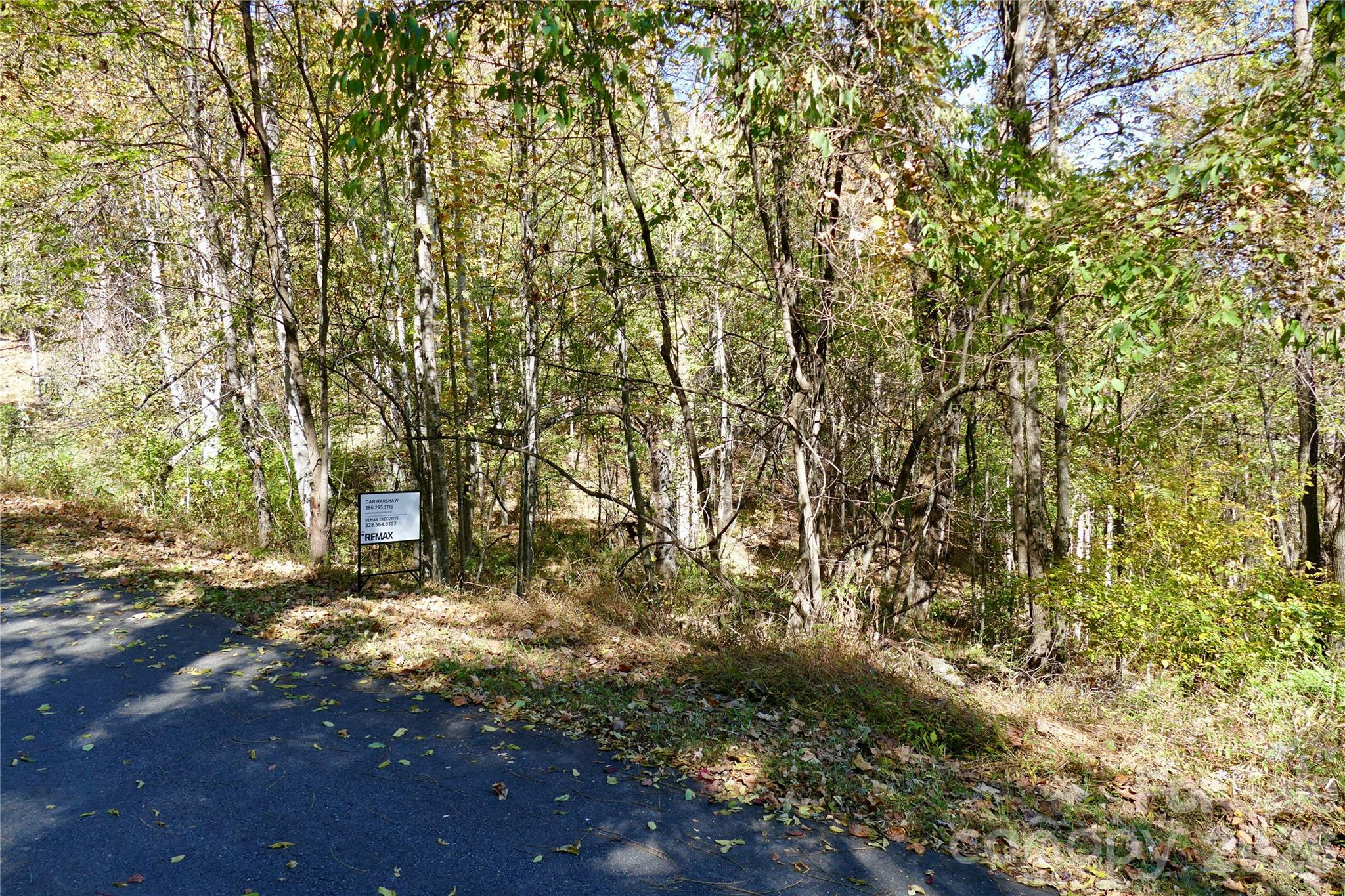 Signage at street - Lot 509 Multiflora Way, Waynesville