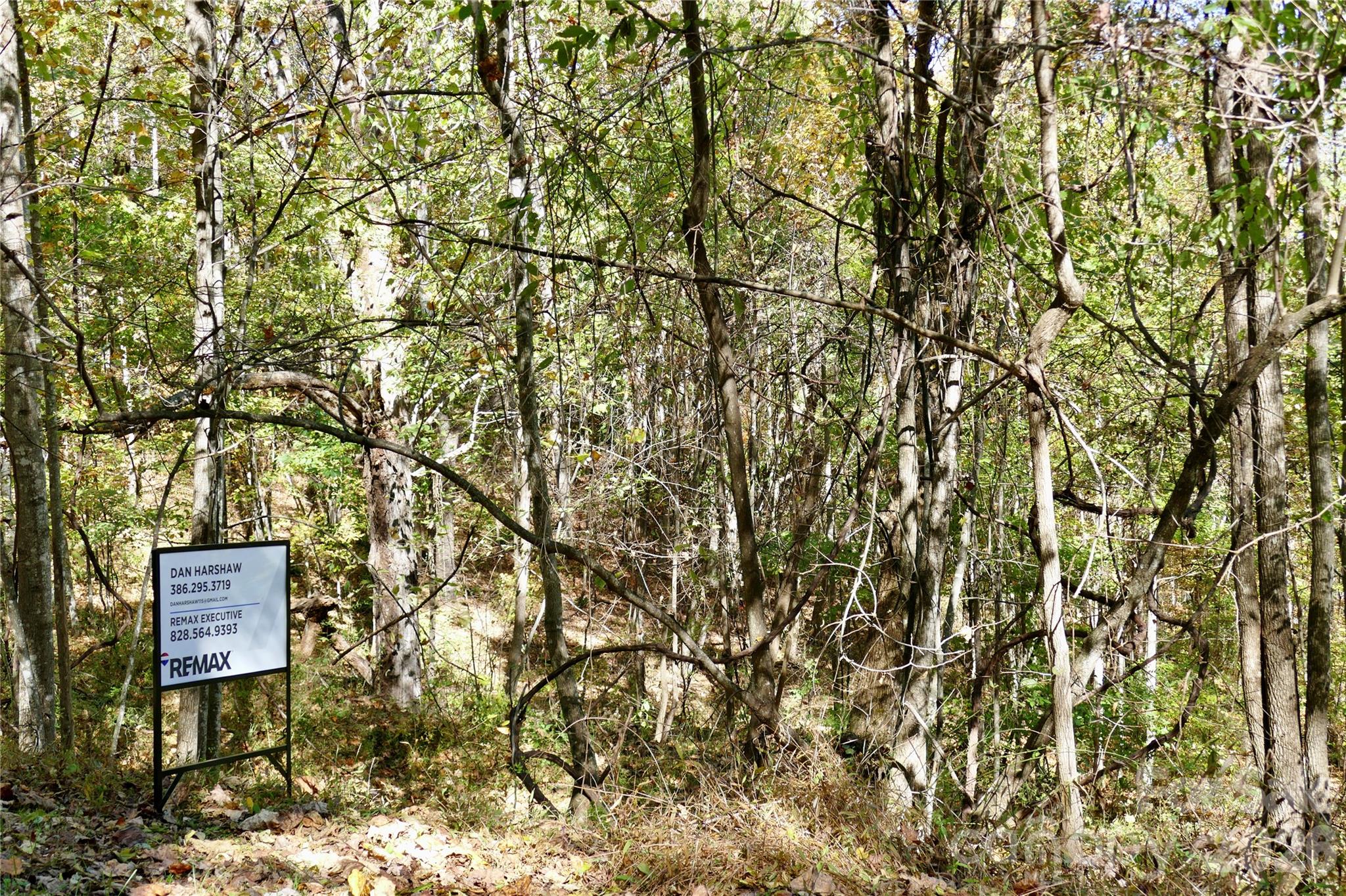 Signage at Street - Lot 509 Multiflora Way, Waynesville