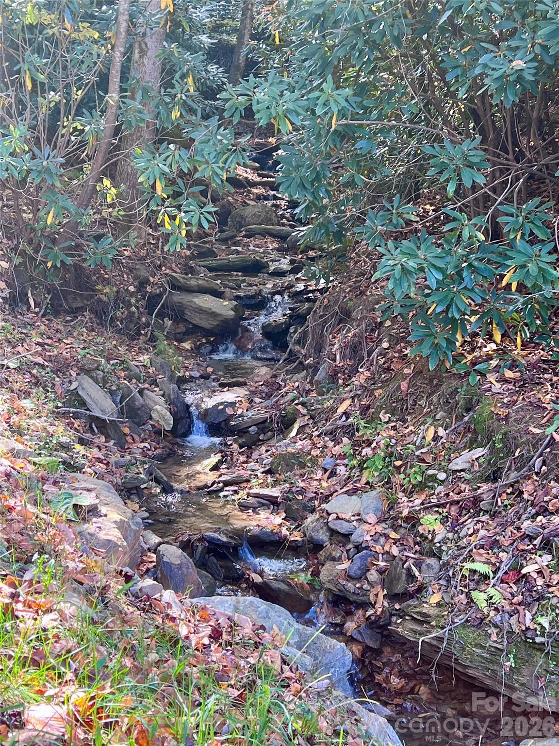 Creek at the bottom of the property - 9 Settings Boulevard, Black Mountain