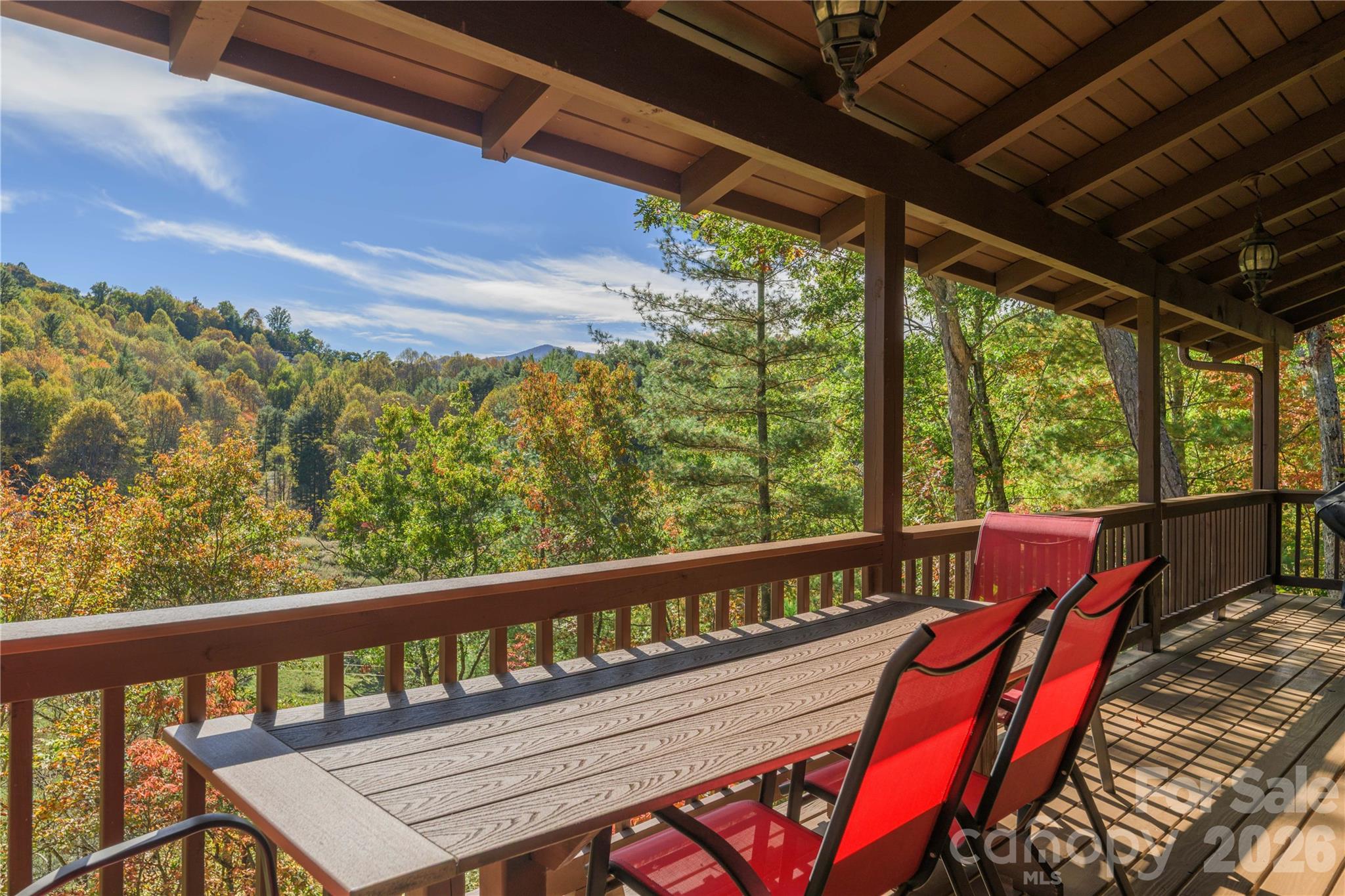 Imagine... - 235 Timucua Trail, Waynesville