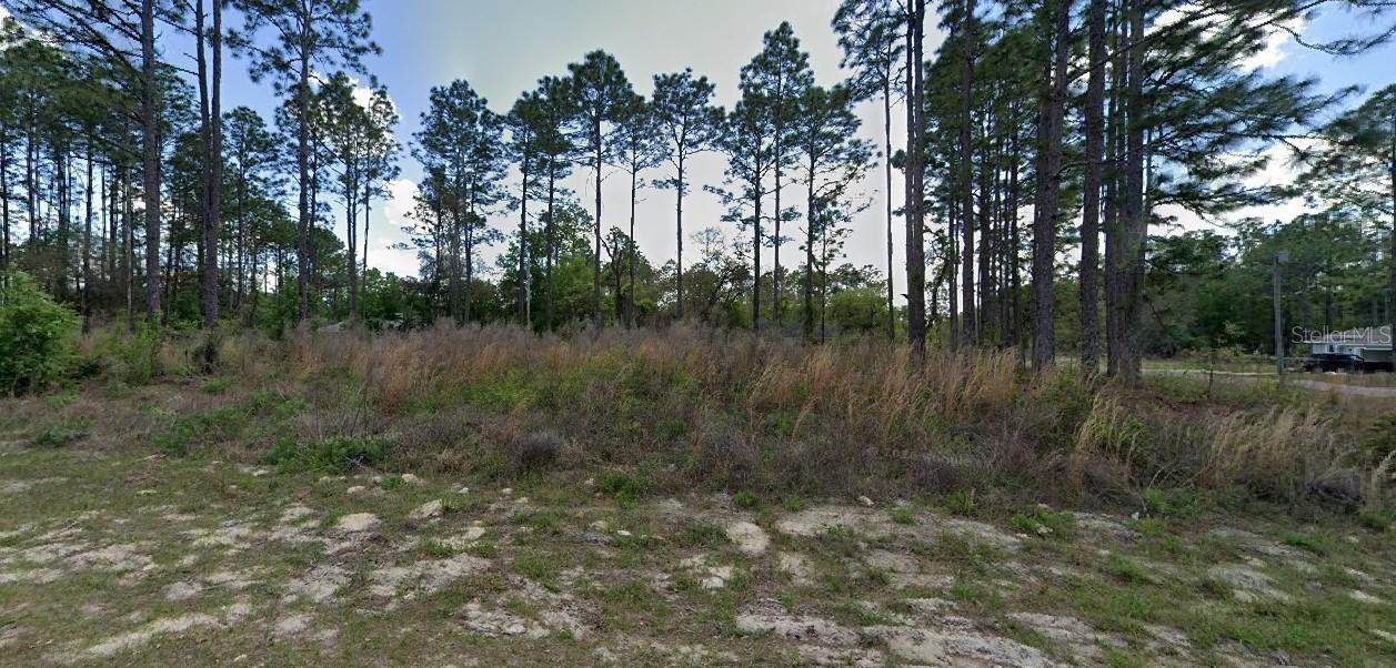 Land at 1562 W ACADIAN PL, CITRUS SPRINGS