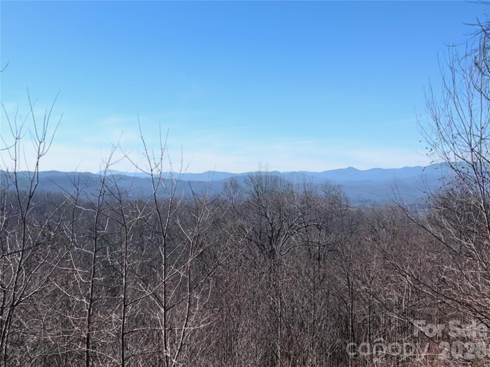 Lot at 370 Somersby Parkway, Laurel Park, photo 2 of 25