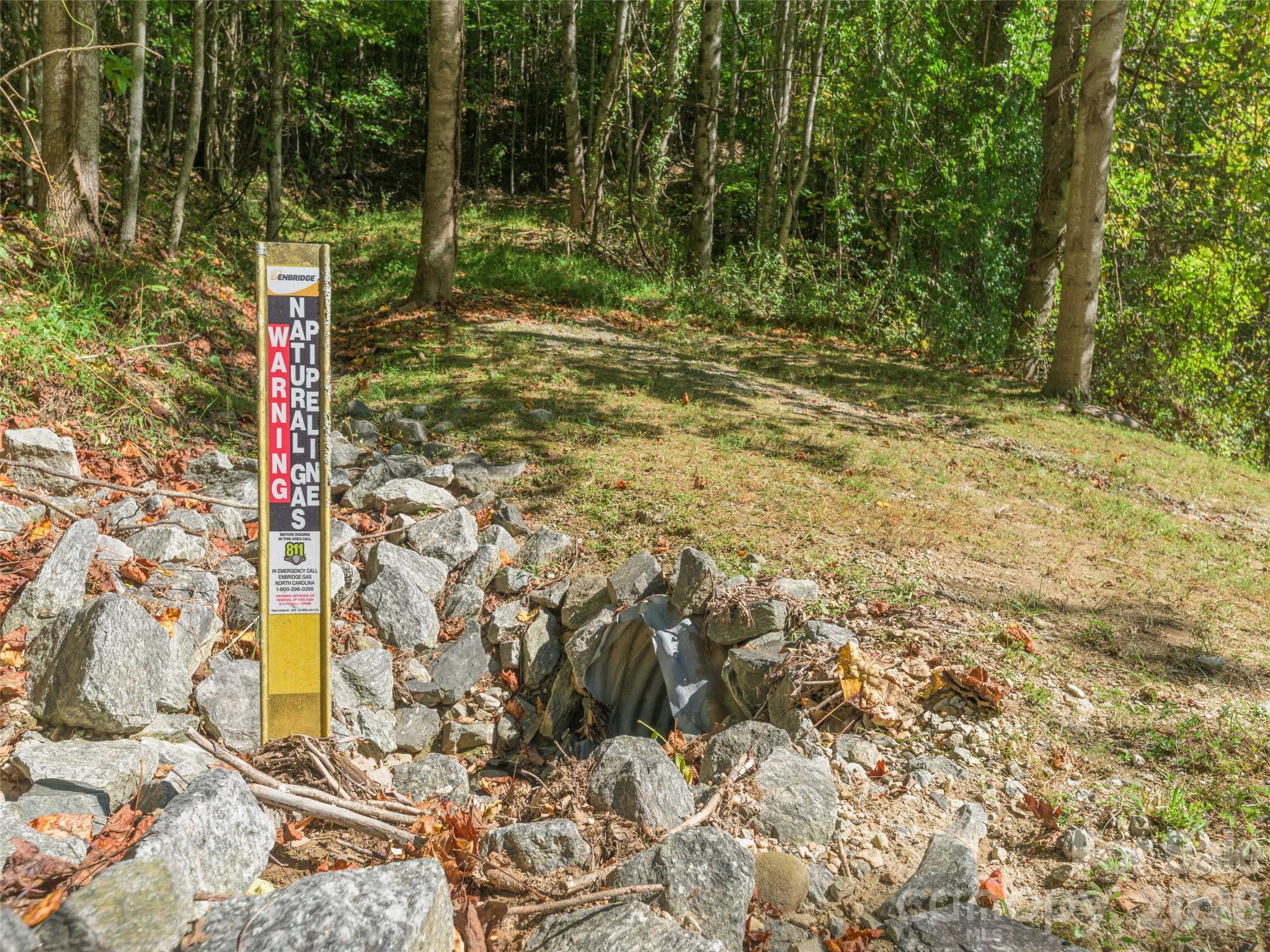 Lot at 370 Somersby Parkway, Laurel Park, photo 4 of 25
