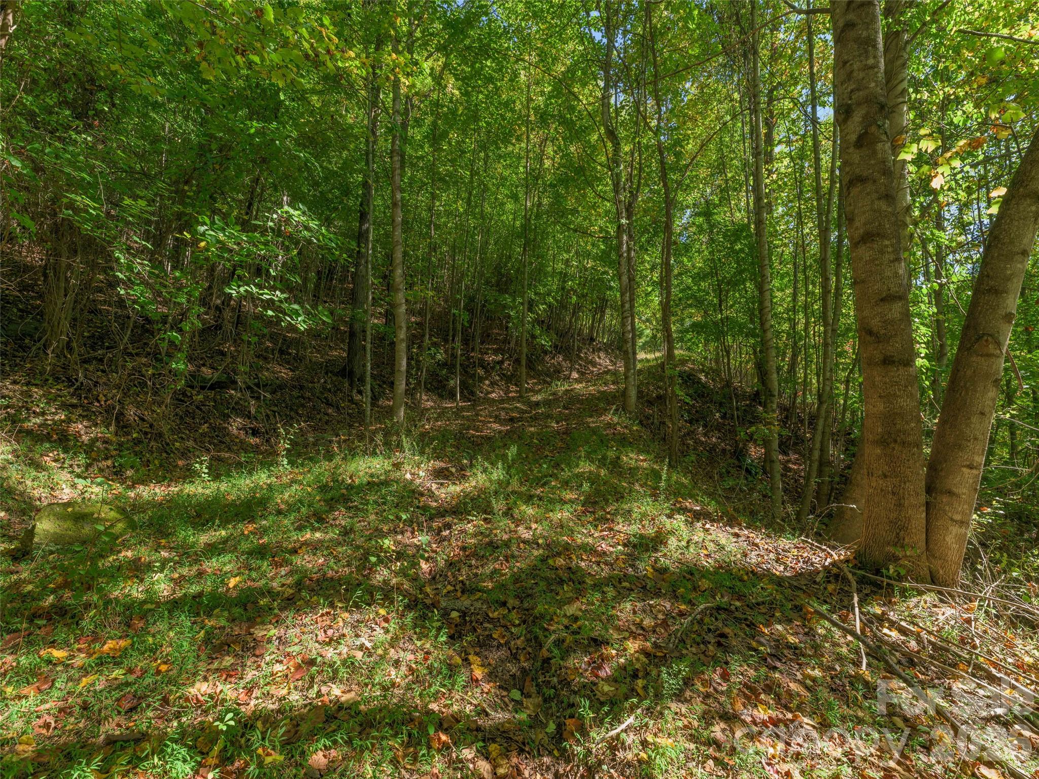 Lot at 370 Somersby Parkway, Laurel Park, photo 5 of 25