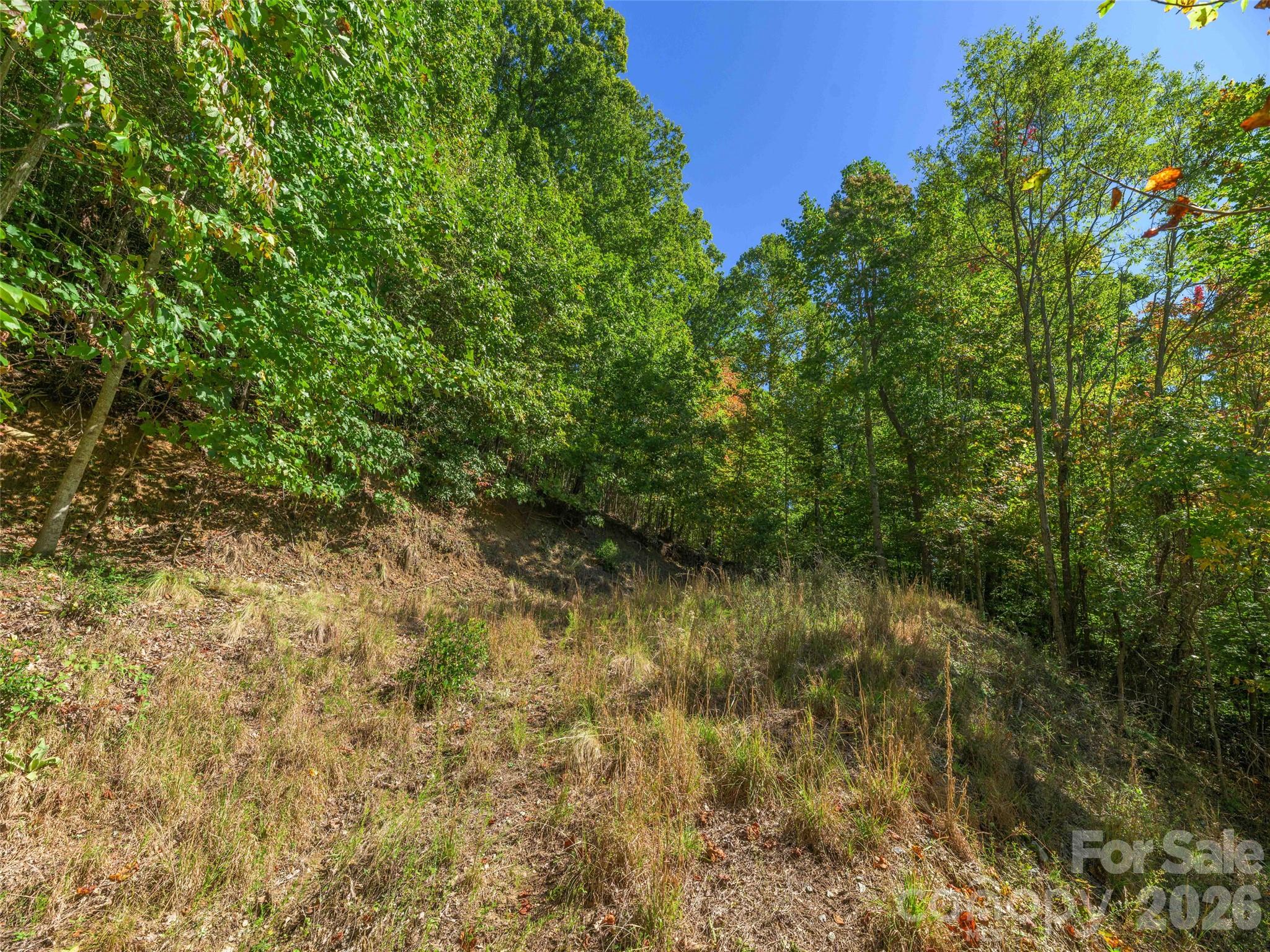 Lot at 370 Somersby Parkway, Laurel Park, photo 6 of 25