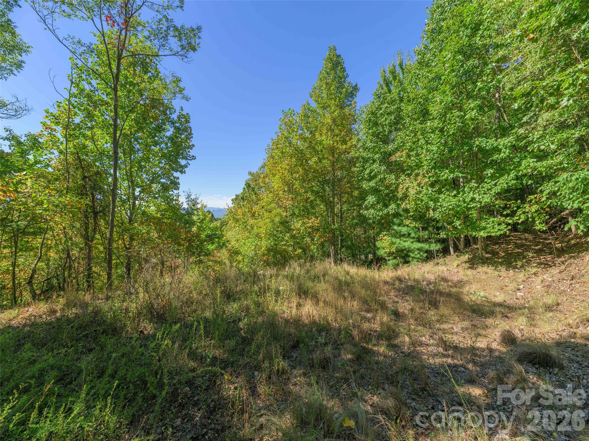 Lot at 370 Somersby Parkway, Laurel Park, photo 7 of 25