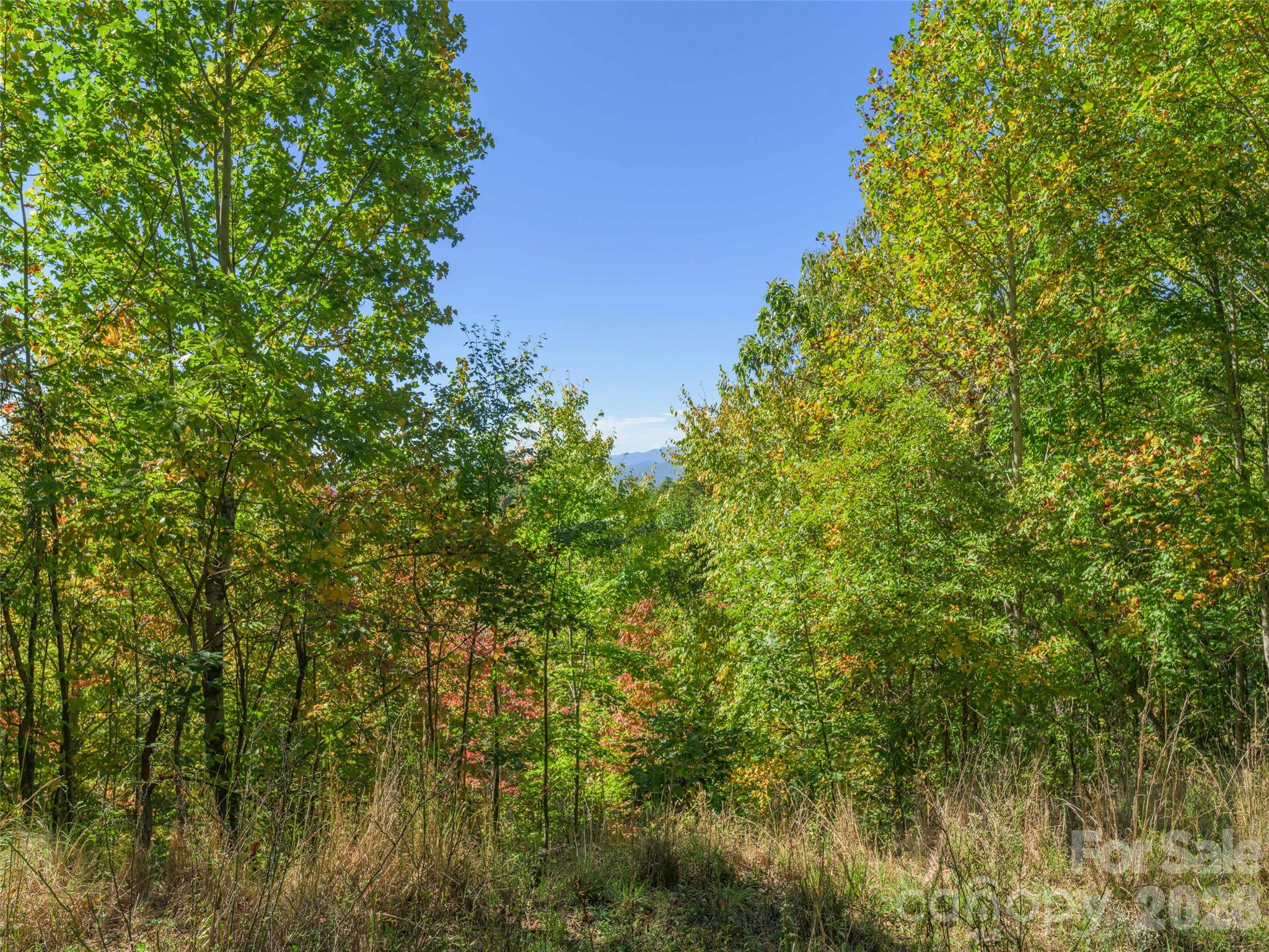 Lot at 370 Somersby Parkway, Laurel Park, photo 8 of 25
