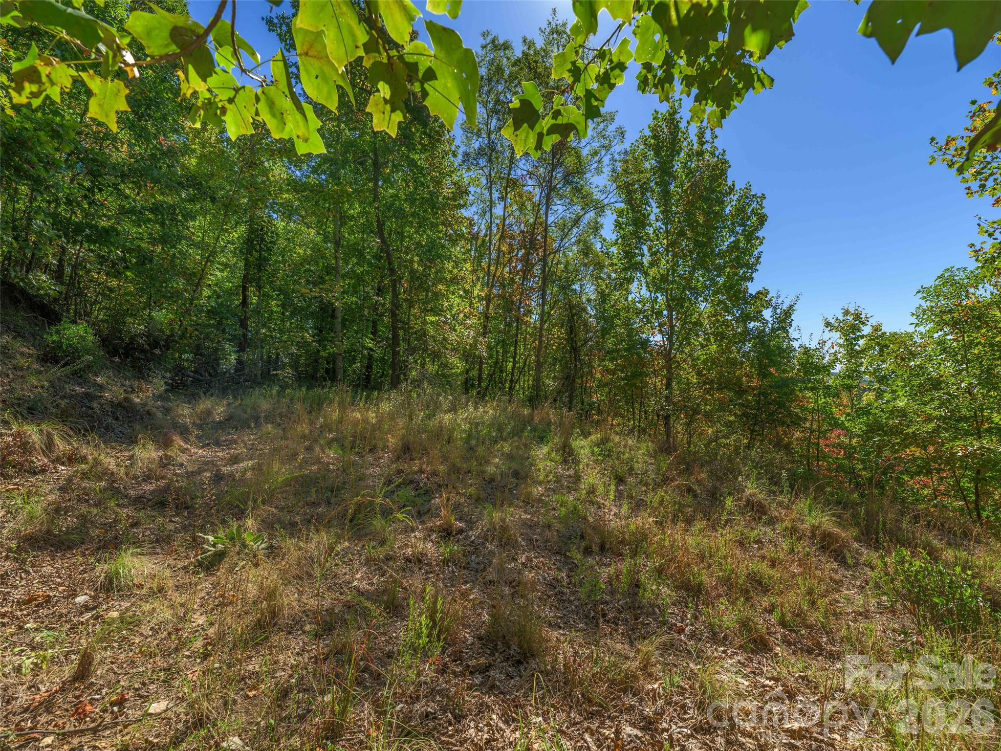 Lot at 370 Somersby Parkway, Laurel Park, photo 9 of 25