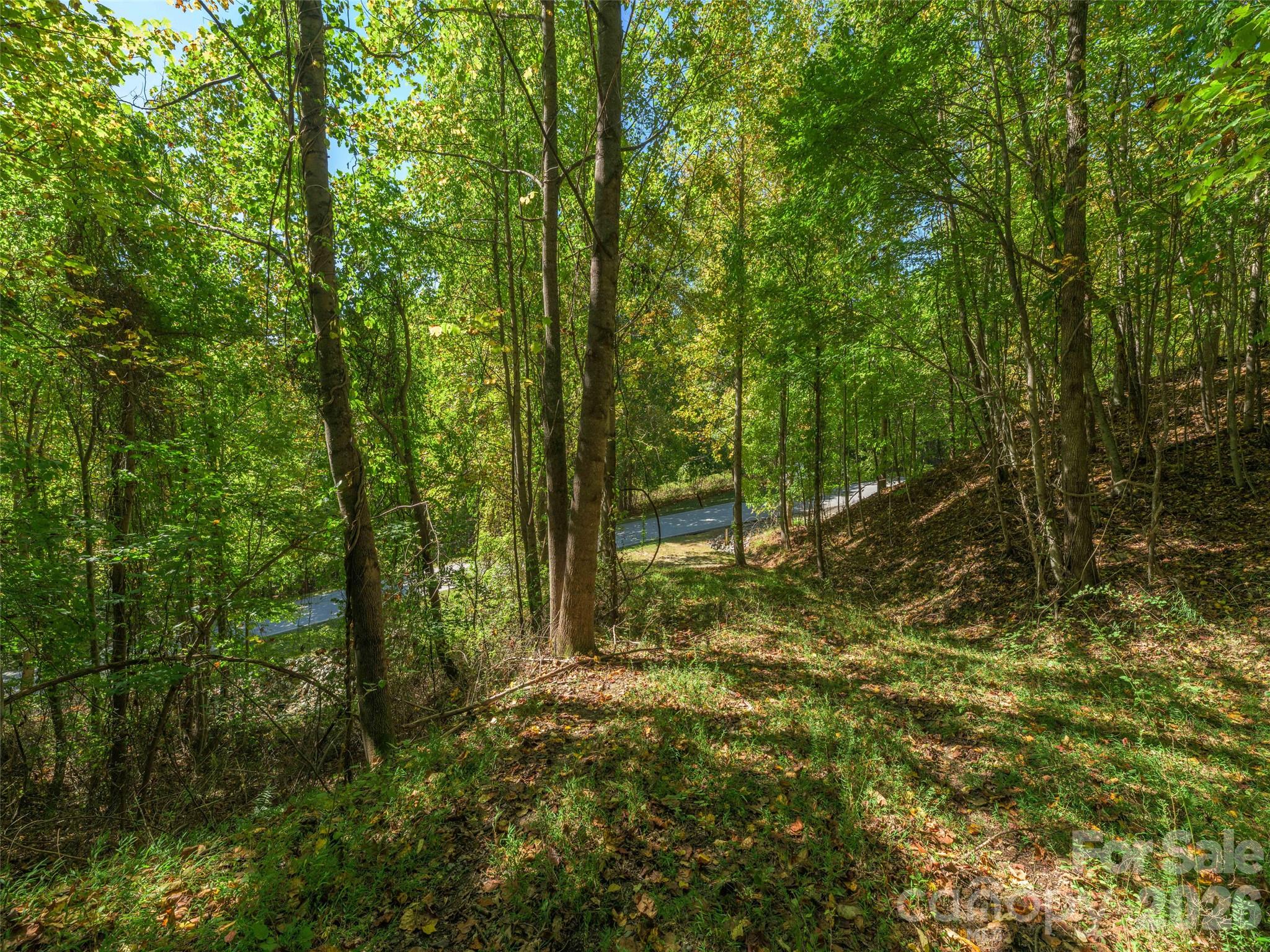 Lot at 370 Somersby Parkway, Laurel Park, photo 10 of 25