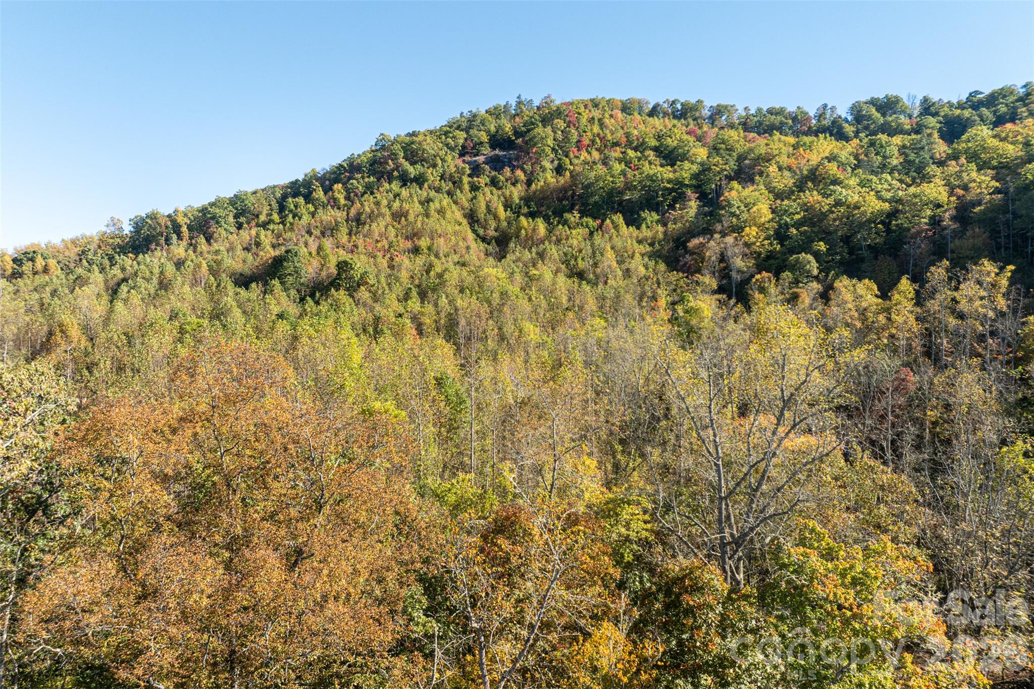 Acreage at 447 Hog Rock Road, Hendersonville, photo 2 of 48
