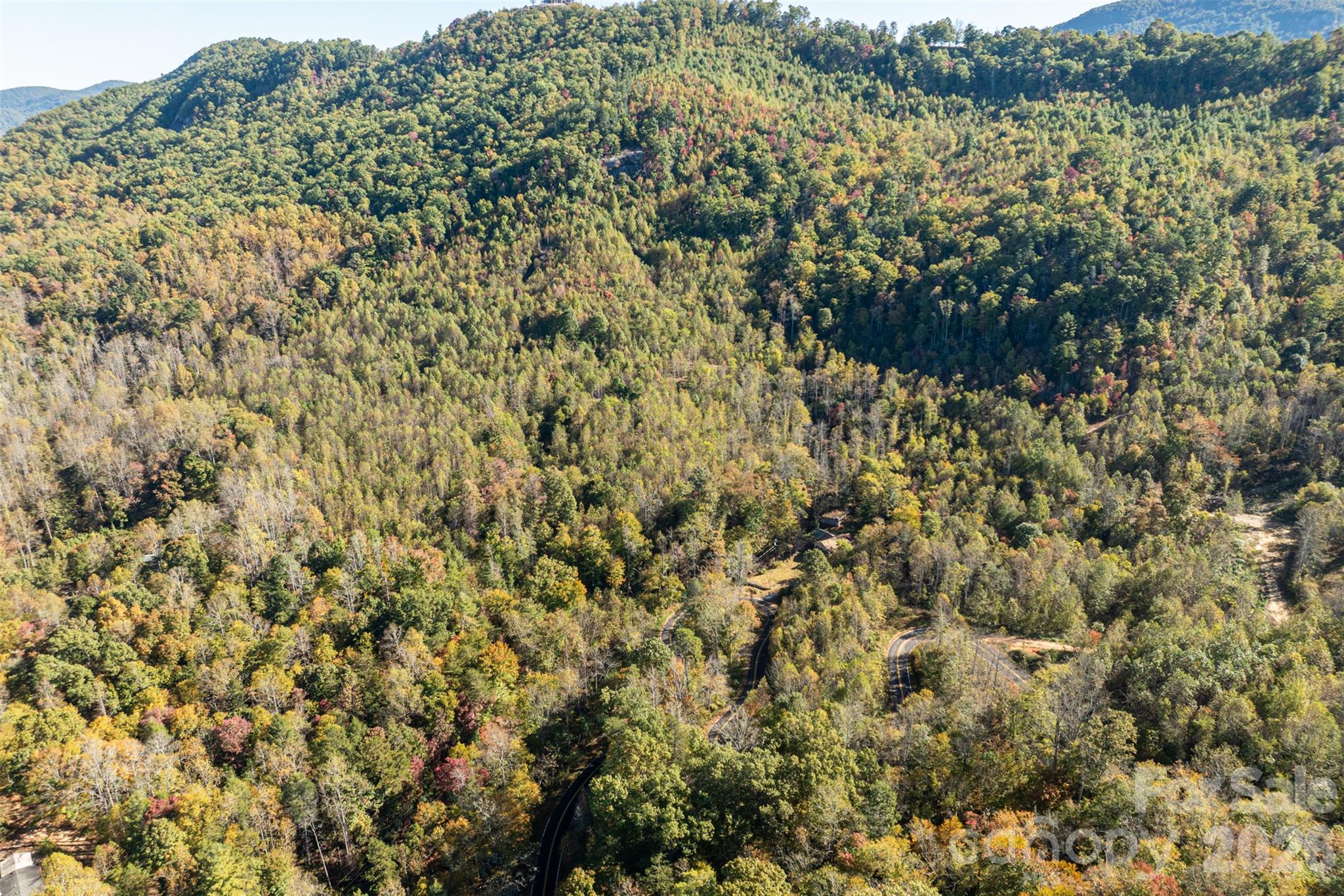 Acreage at 447 Hog Rock Road, Hendersonville, photo 7 of 48