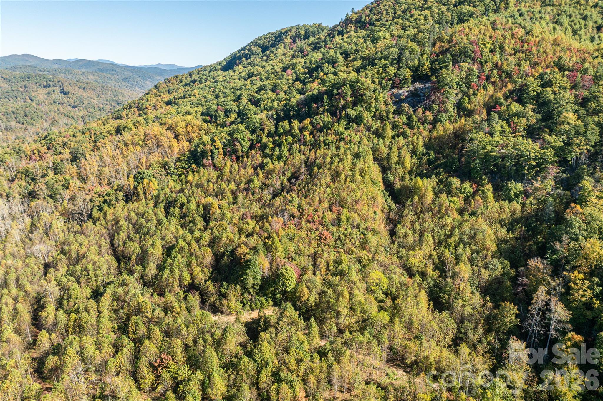 Acreage at 447 Hog Rock Road, Hendersonville, photo 17 of 48