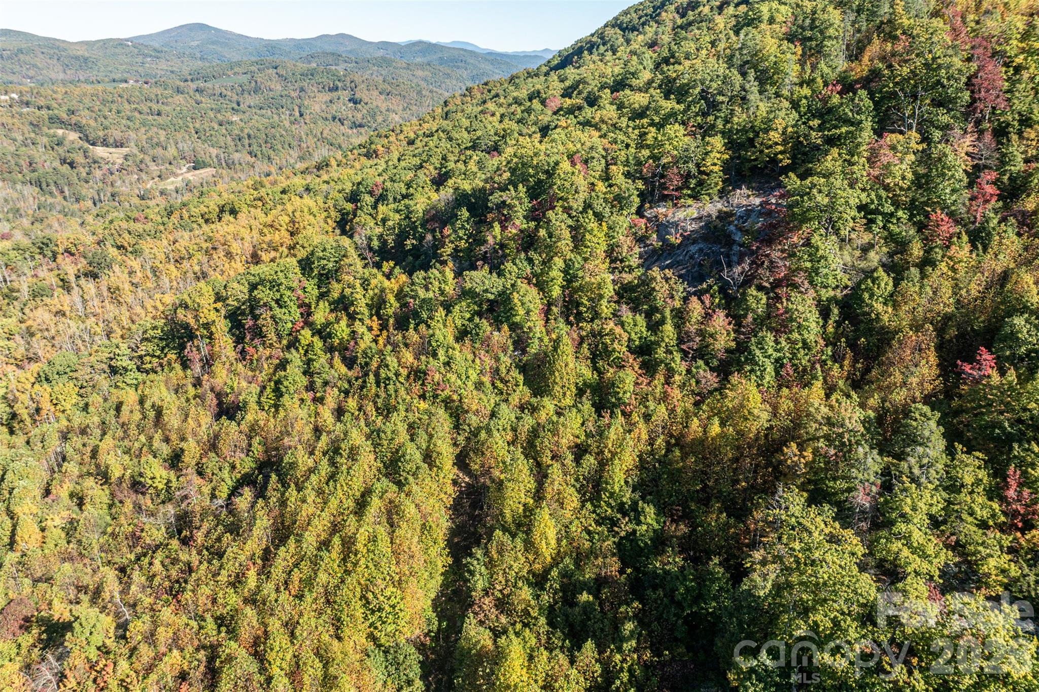 Acreage at 447 Hog Rock Road, Hendersonville, photo 18 of 48