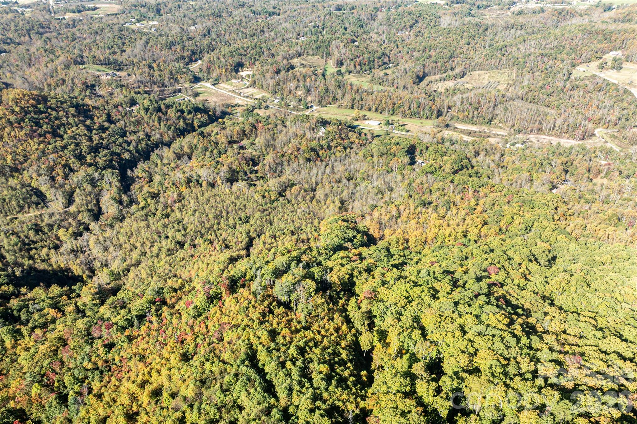 Acreage at 447 Hog Rock Road, Hendersonville, photo 22 of 48