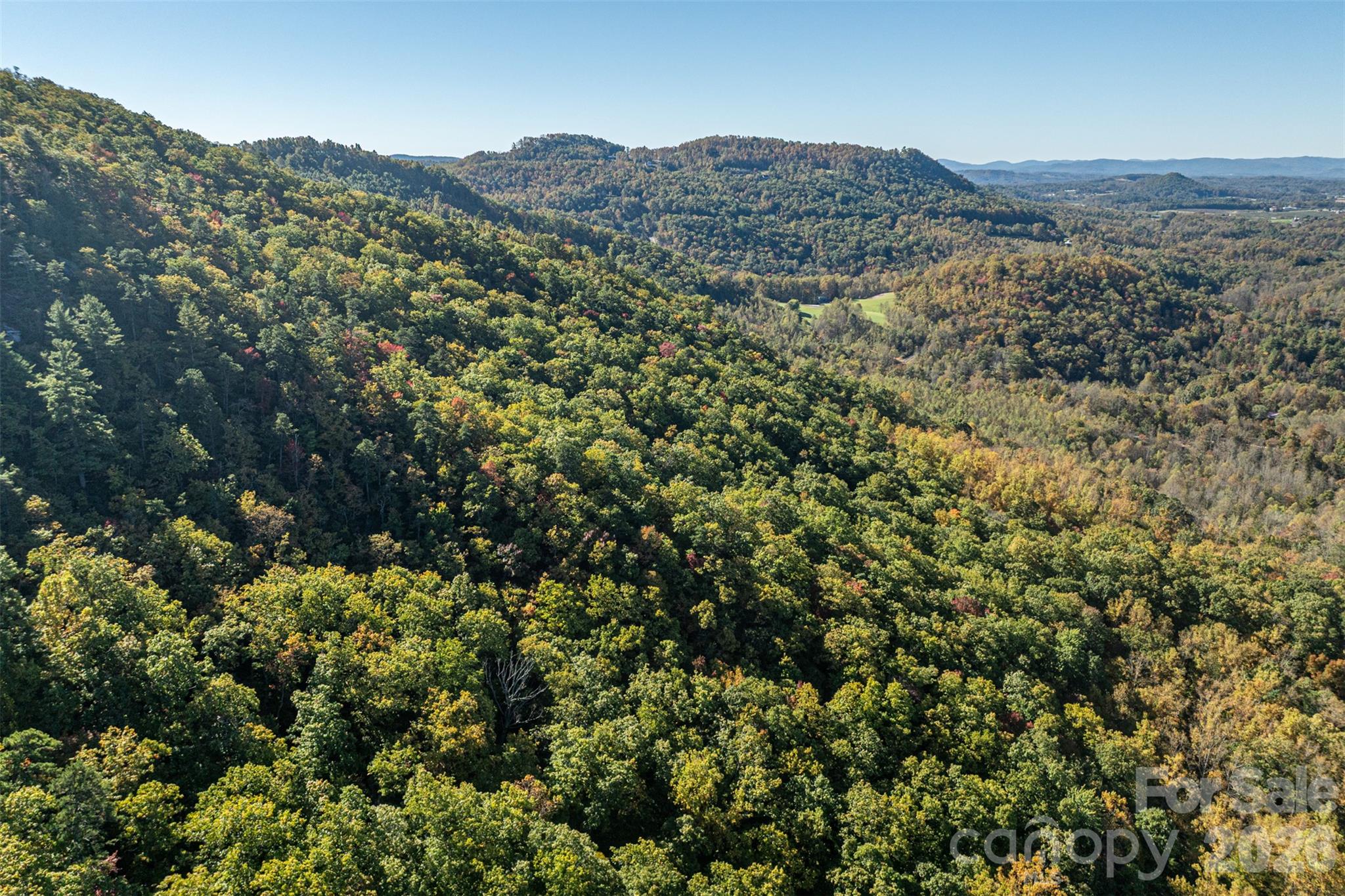 Acreage at 447 Hog Rock Road, Hendersonville, photo 29 of 48
