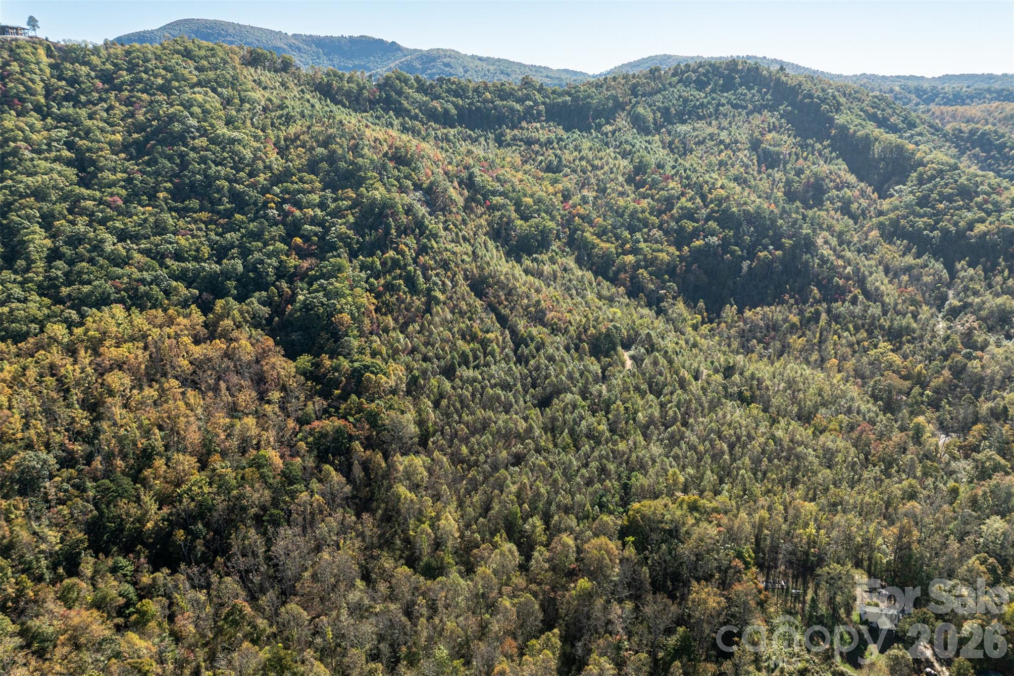 Acreage at 447 Hog Rock Road, Hendersonville, photo 32 of 48