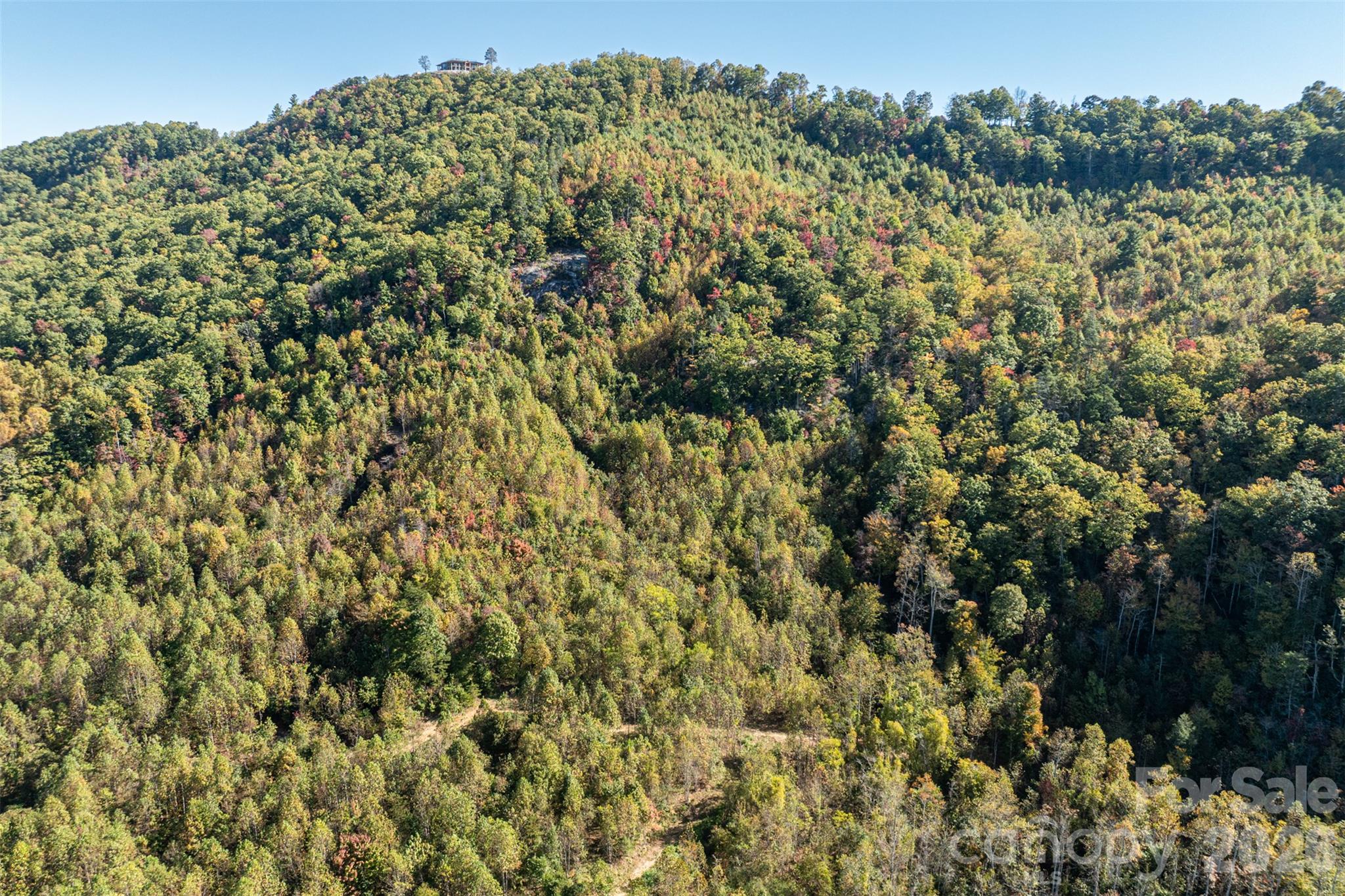 Acreage at 447 Hog Rock Road, Hendersonville, photo 36 of 48