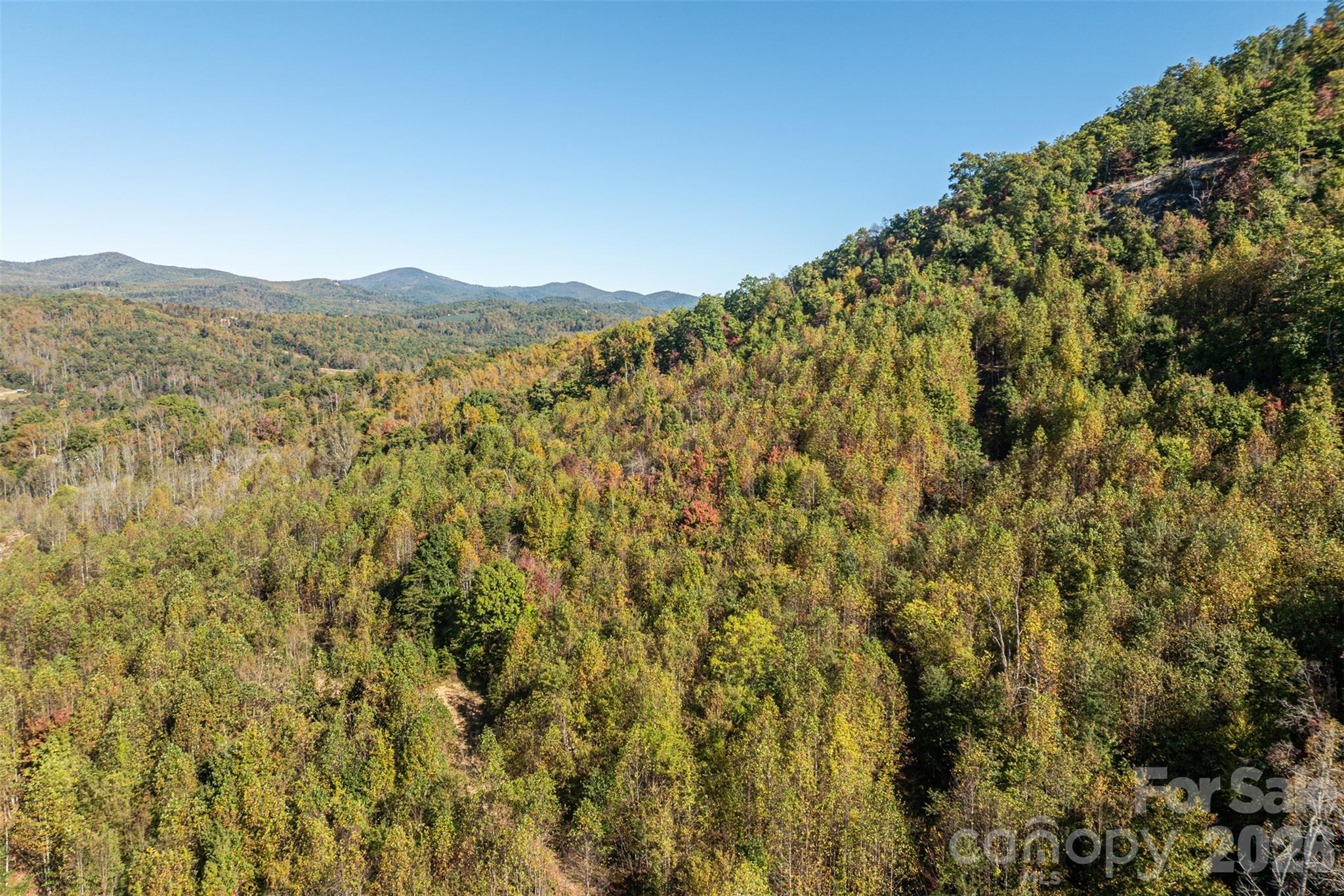 Acreage at 447 Hog Rock Road, Hendersonville, photo 38 of 48