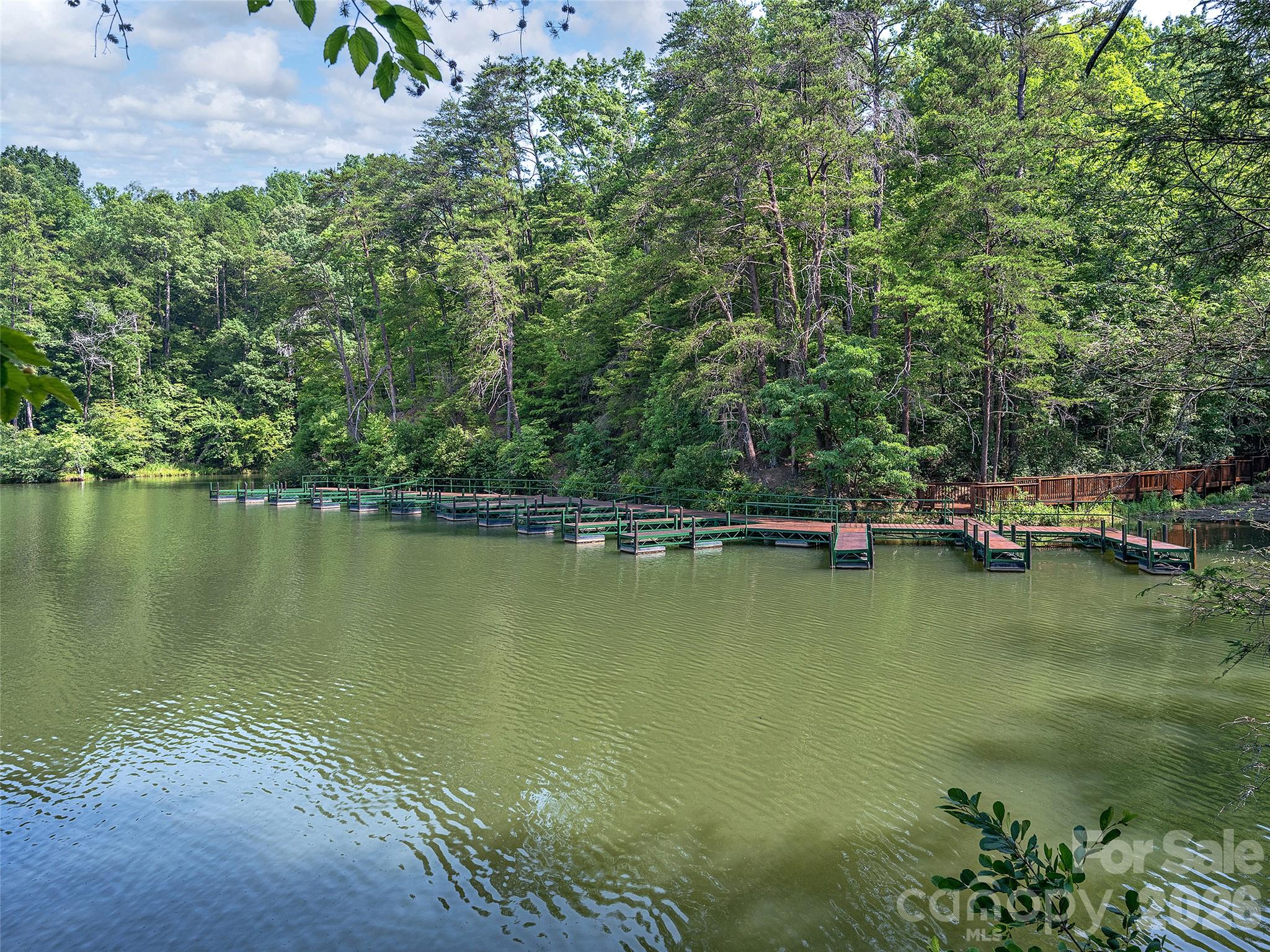 Single Family Residence at 105 Jackson Cove Parkway, Mill Spring, photo 46 of 48