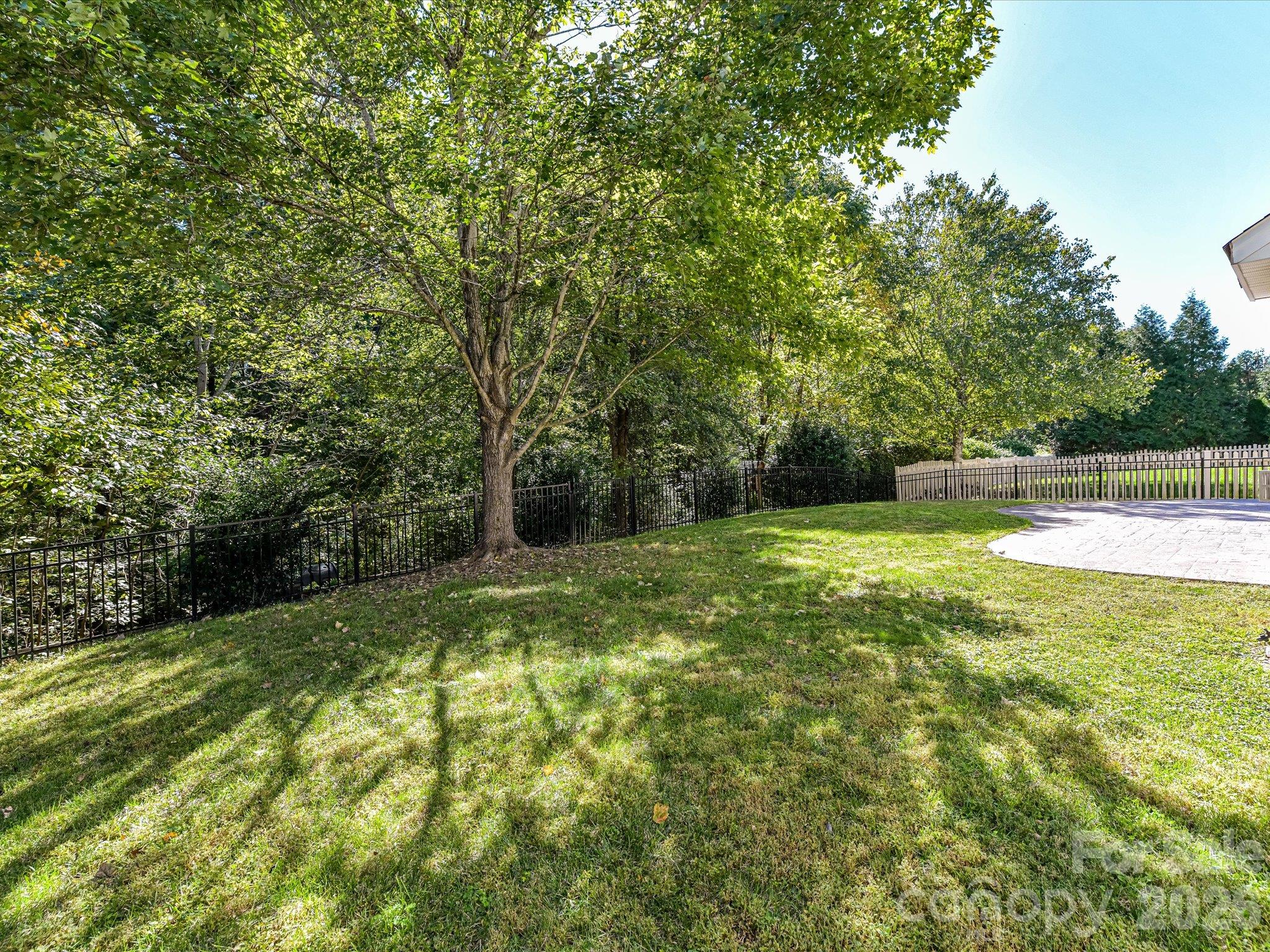 Rear Yard - 8458 Mossy Cup Trail, Harrisburg