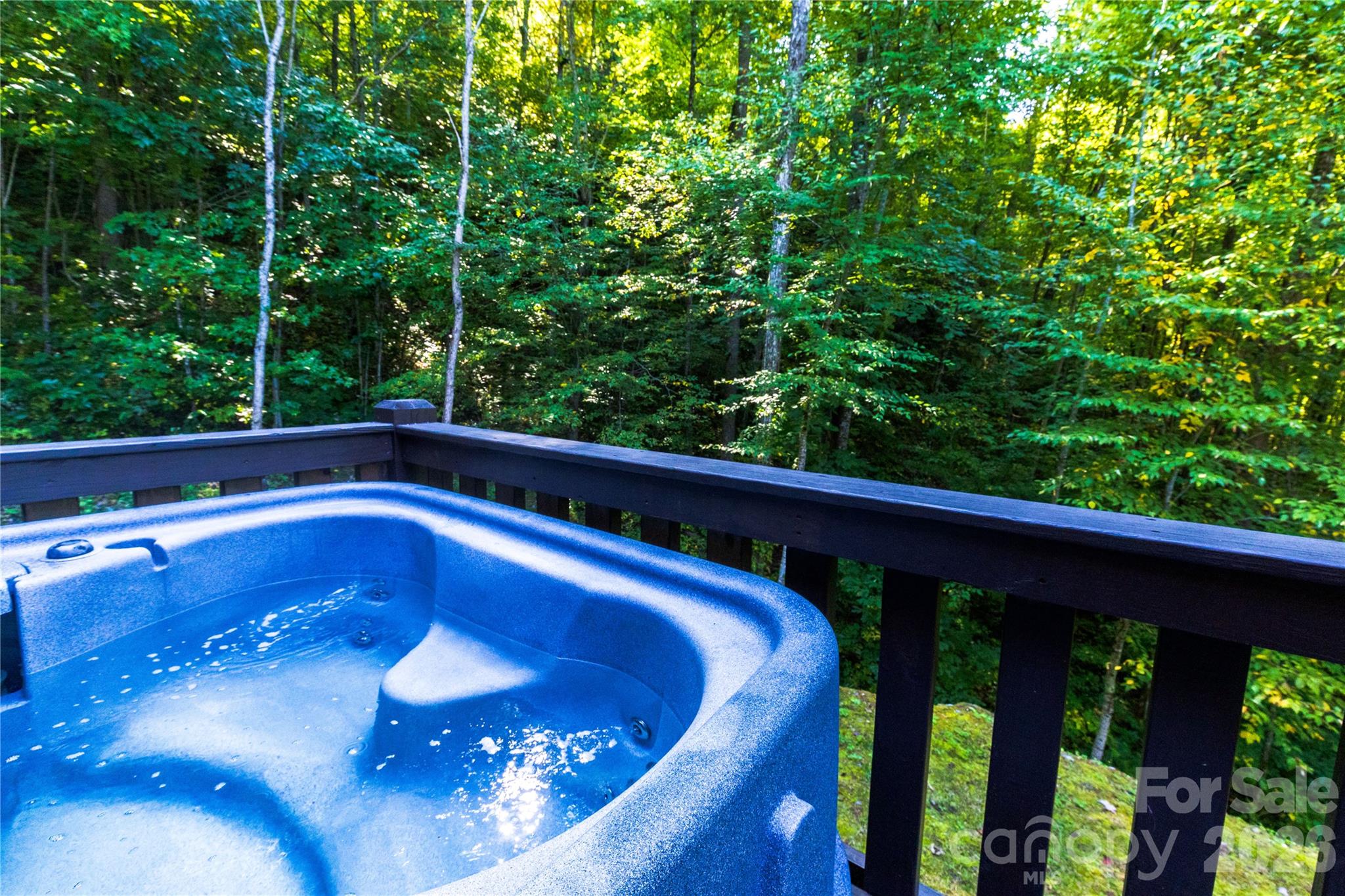 Single Family Residence at 88 Black Walnut Forest Road, Bryson City, photo 38 of 38