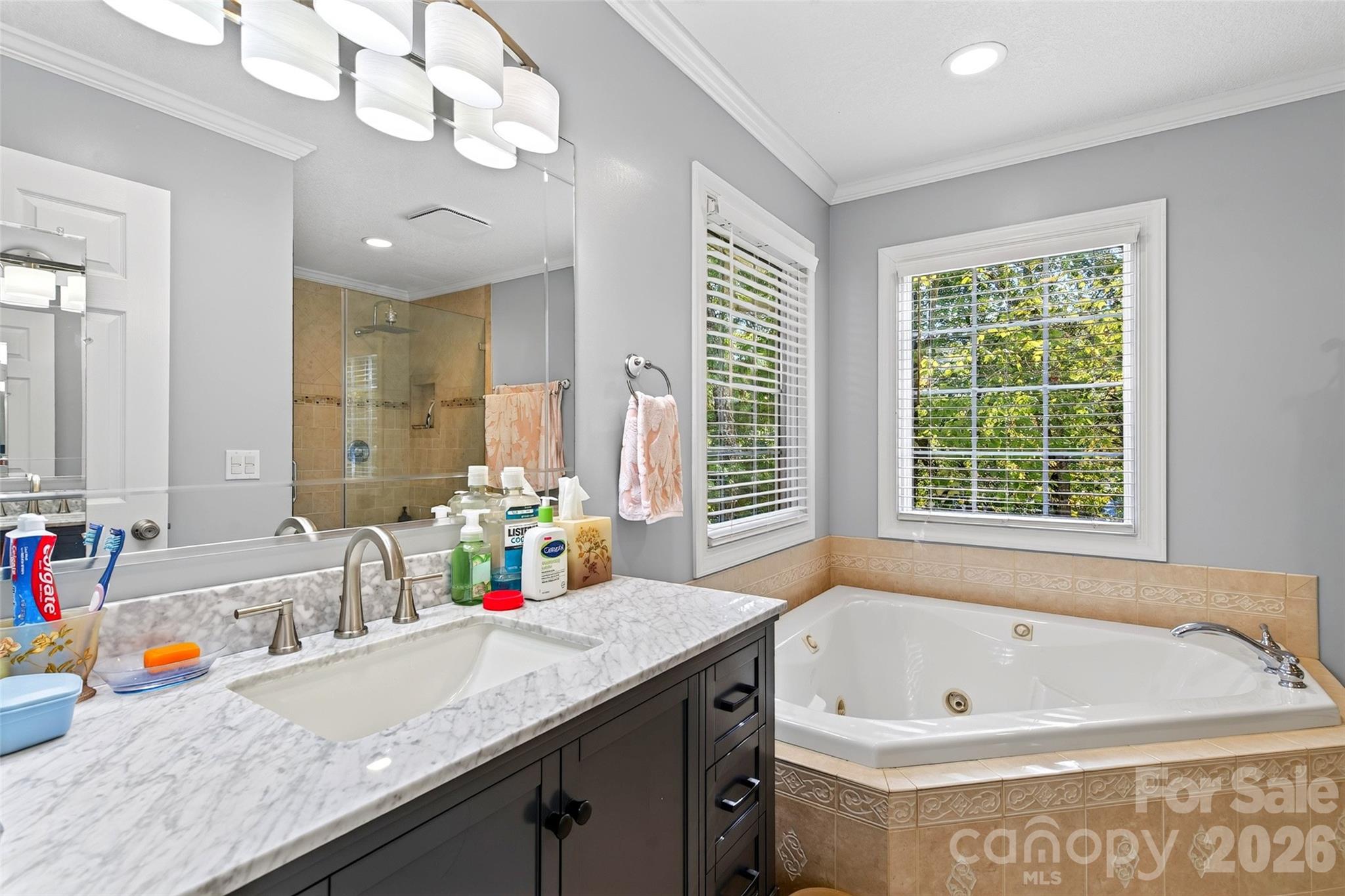 Primary Bedroom bathroom - 337 & 345 Avery Creek Road, Arden