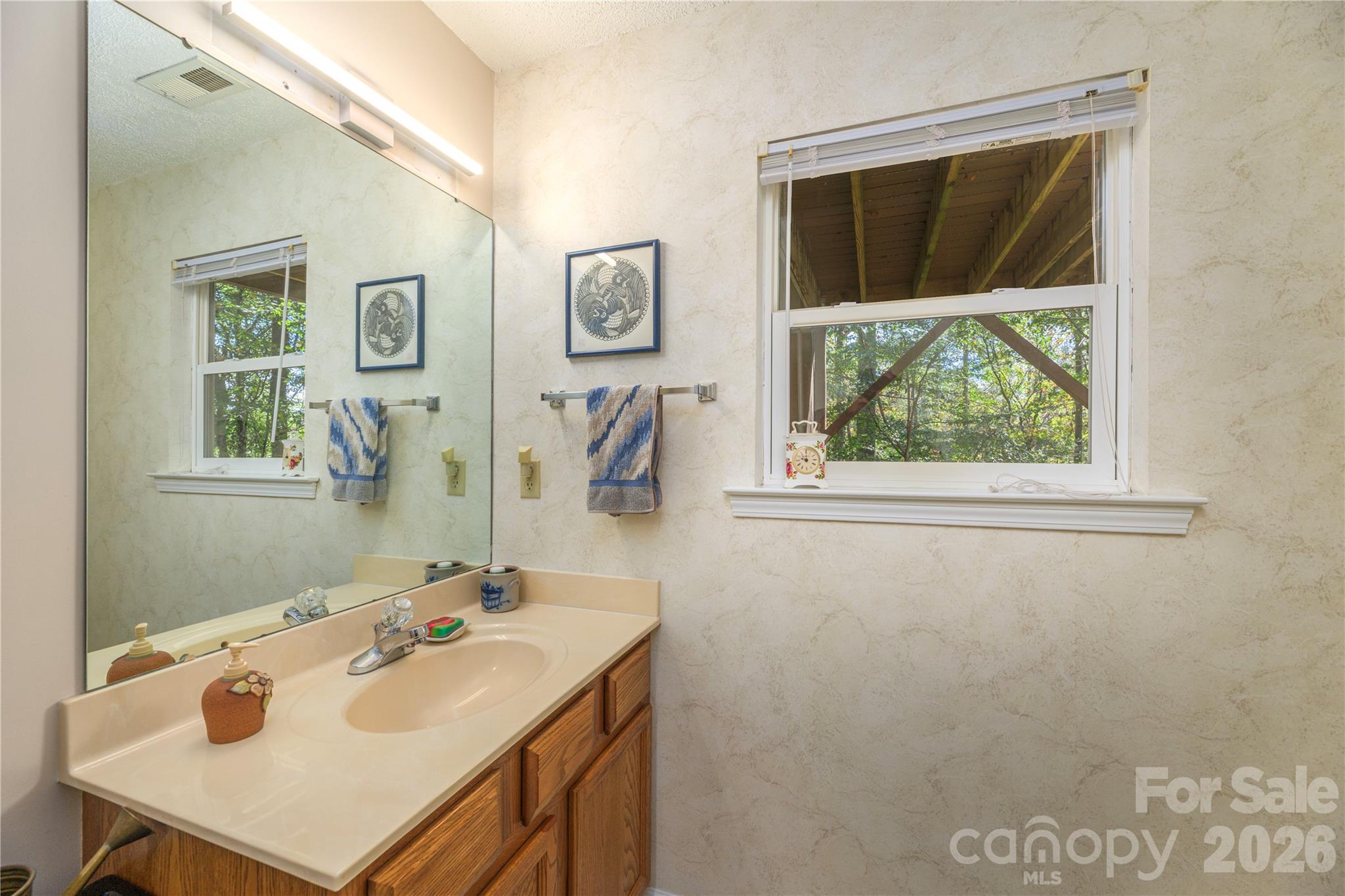 Additional picture of the fourth bathroom downstairs . - 6 Eagles Nest Lane, Asheville