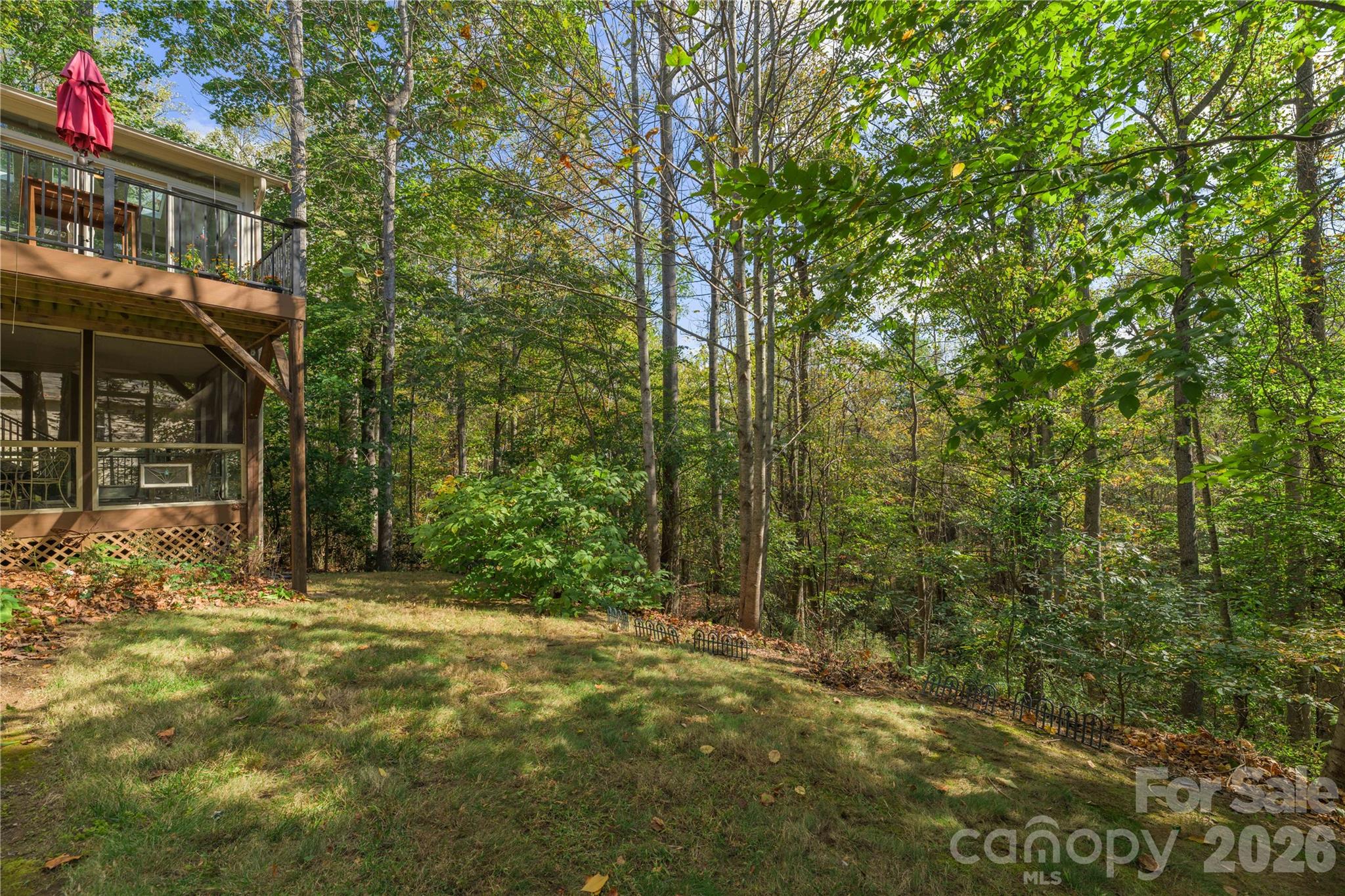 Wooded back area. - 6 Eagles Nest Lane, Asheville