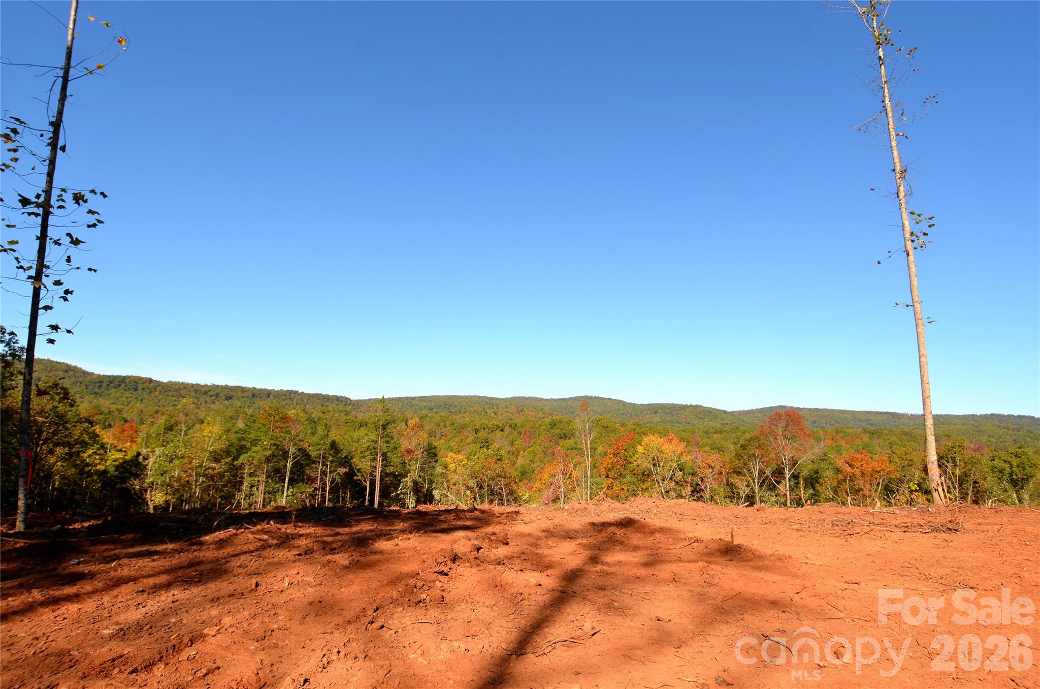 V/L Kohen Trail