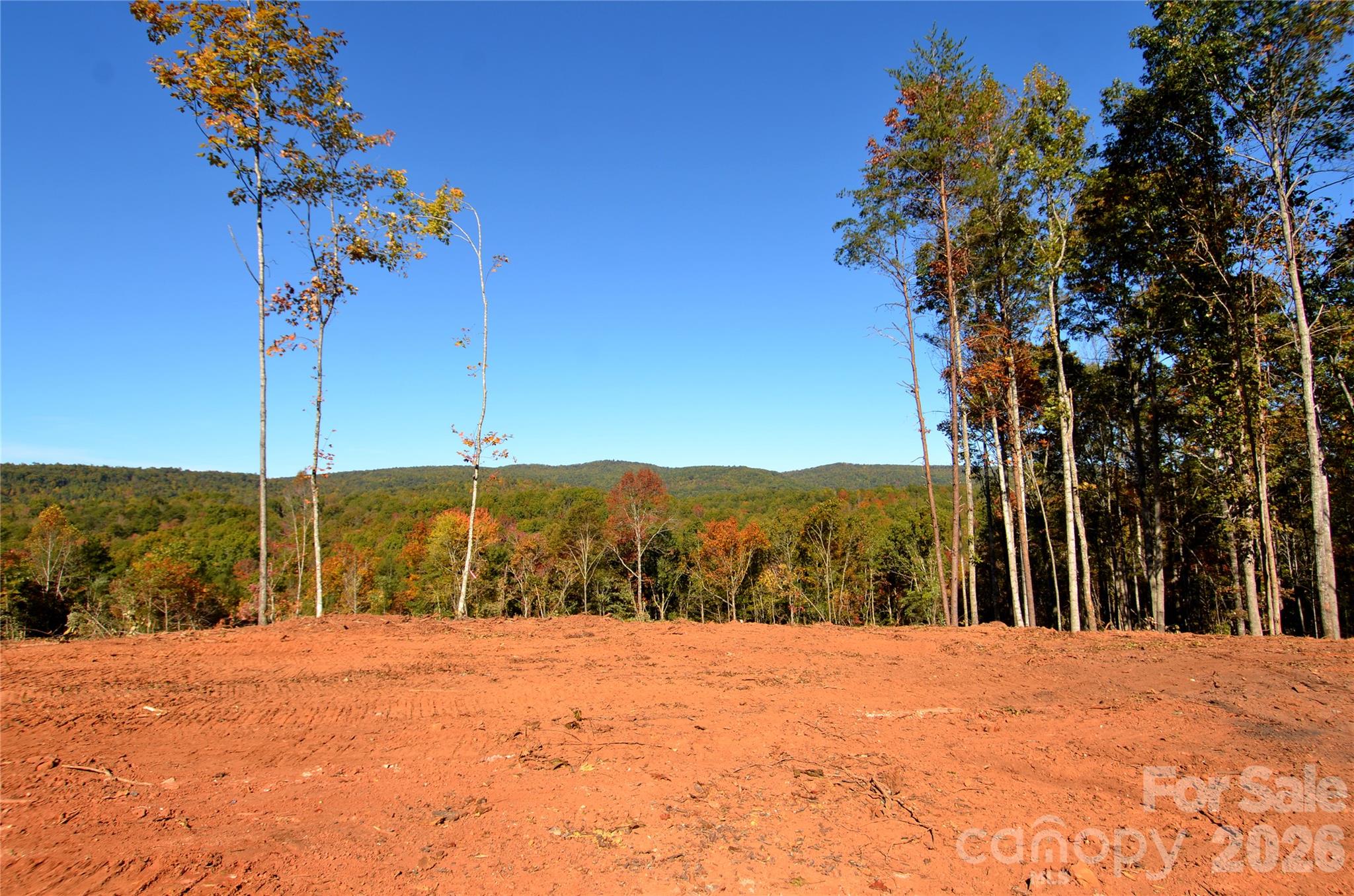 Acreage at V/L Kohen Trail, Nebo, photo 7 of 29