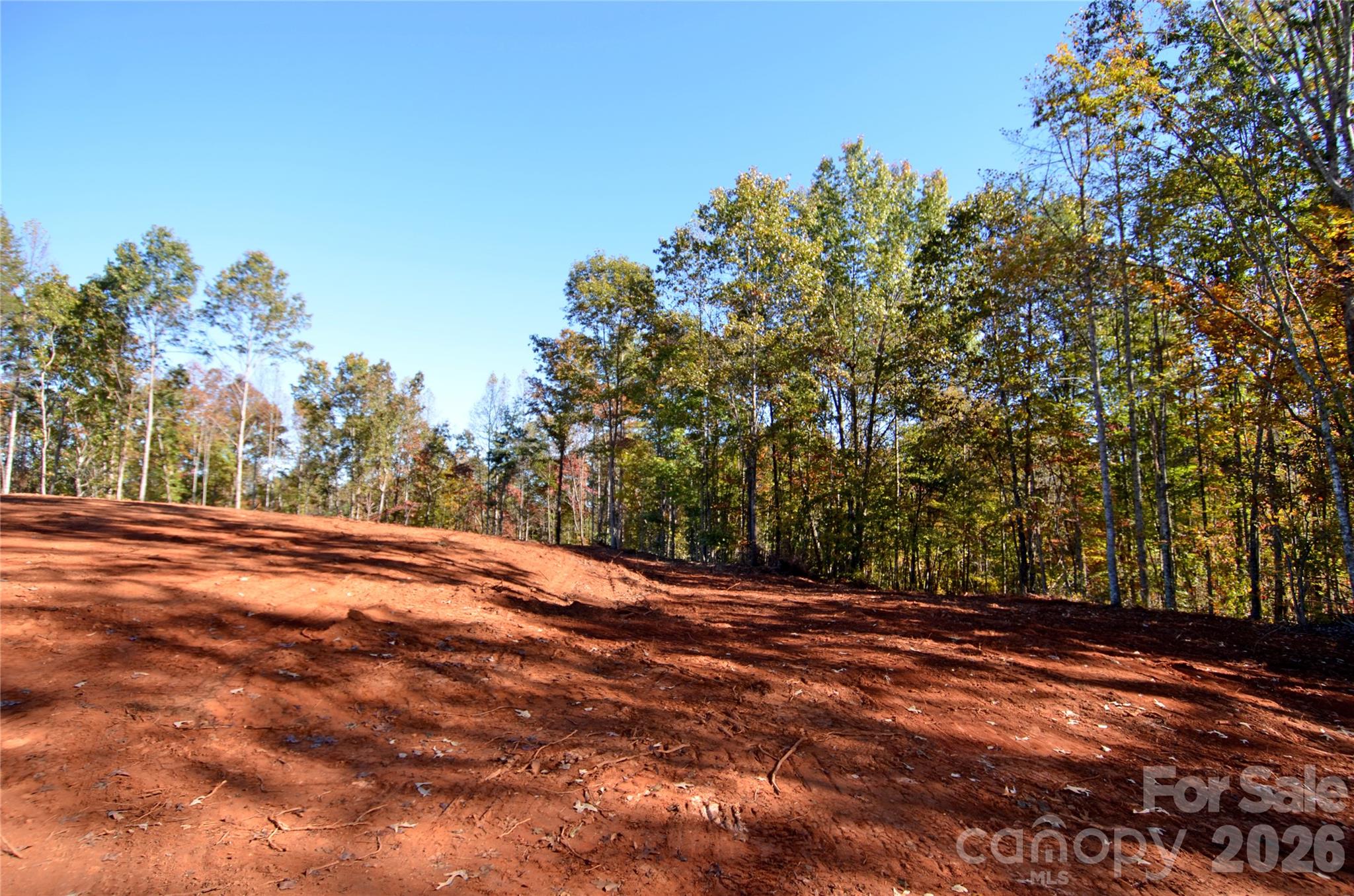 Acreage at V/L Kohen Trail, Nebo, photo 8 of 29
