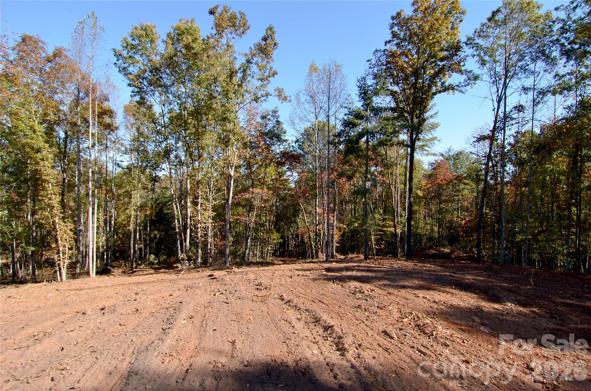 Acreage at V/L Kohen Trail, Nebo, photo 9 of 29