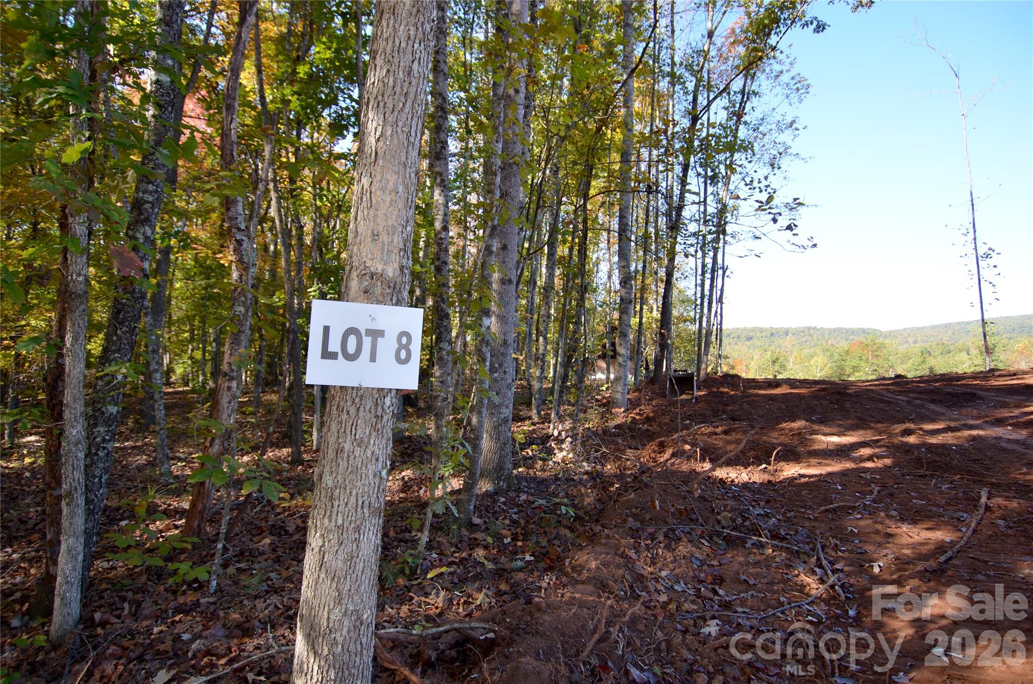 Acreage at V/L Kohen Trail, Nebo, photo 10 of 29
