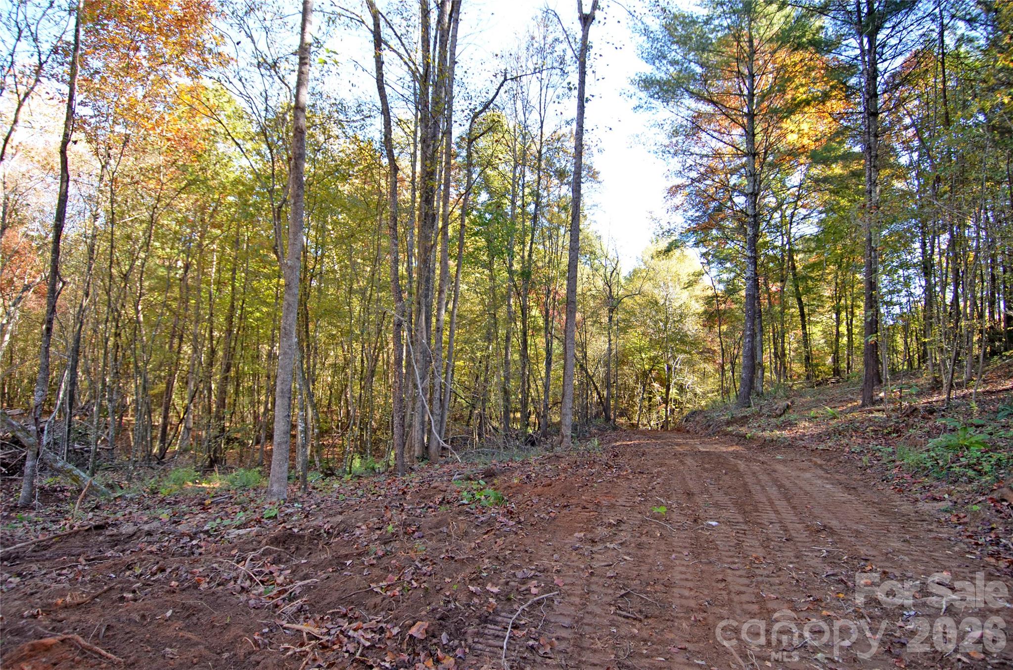 Acreage at V/L Kohen Trail, Nebo, photo 11 of 29