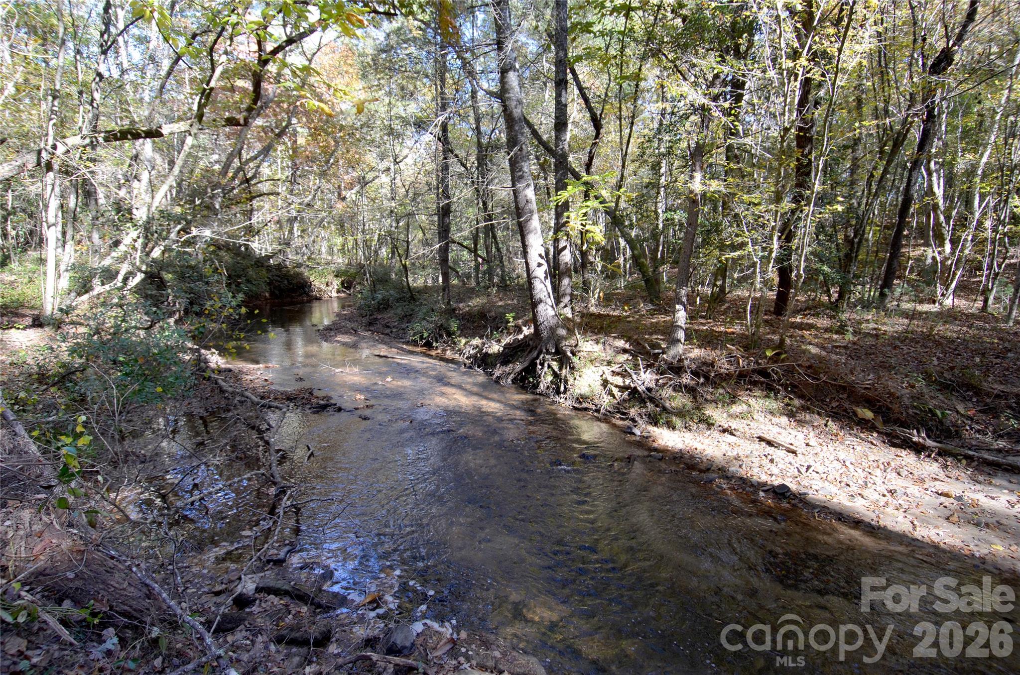 Acreage at V/L Kohen Trail, Nebo, photo 14 of 29