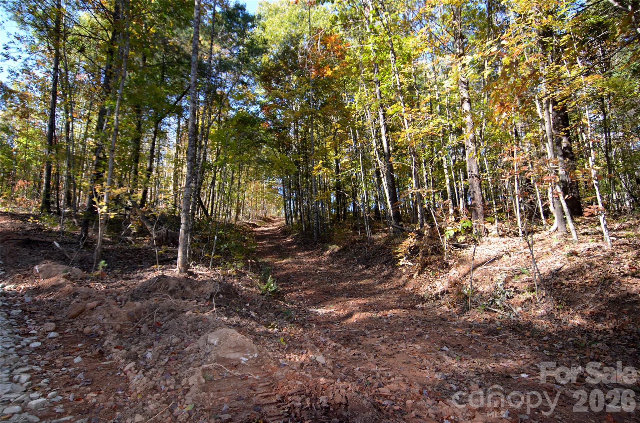 Acreage at V/L Kohen Trail, Nebo, photo 16 of 29
