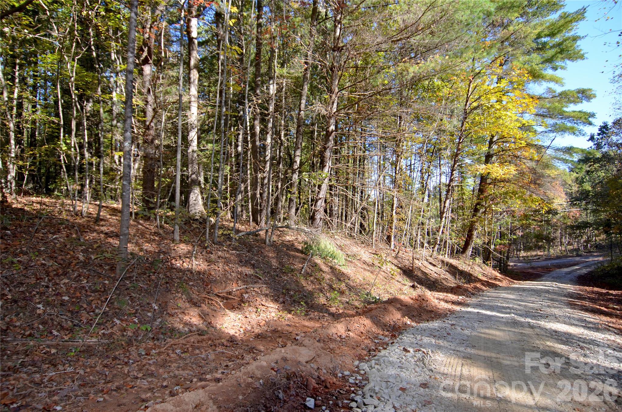 Acreage at V/L Kohen Trail, Nebo, photo 18 of 29
