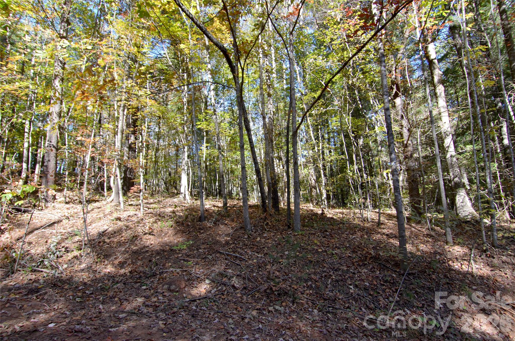 Acreage at V/L Kohen Trail, Nebo, photo 24 of 29