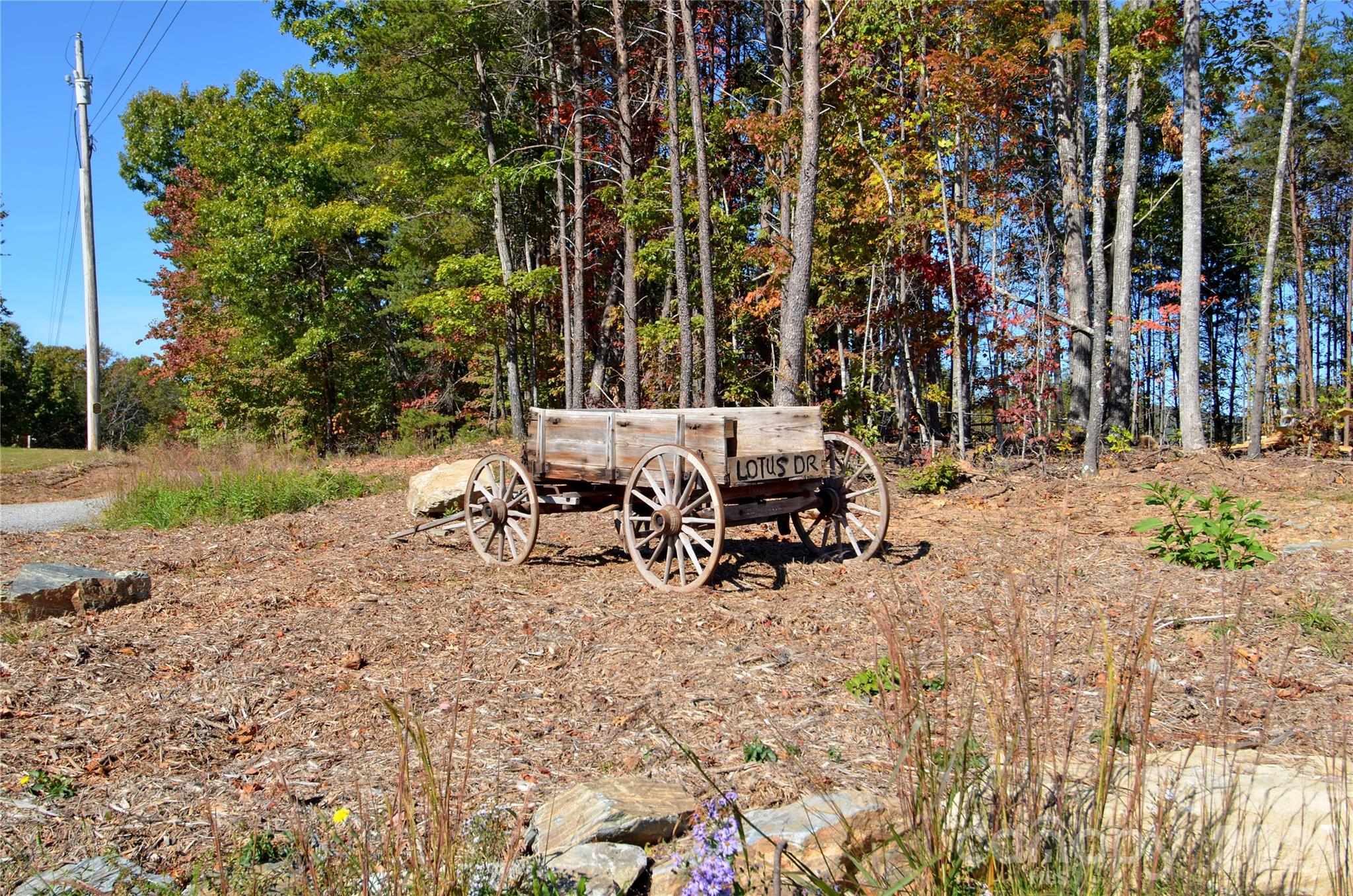 Acreage at V/L Kohen Trail, Nebo, photo 26 of 29