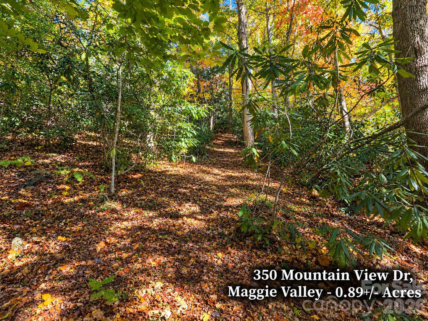 Lot at 350 Mountain View Drive, Maggie Valley, photo 4 of 21