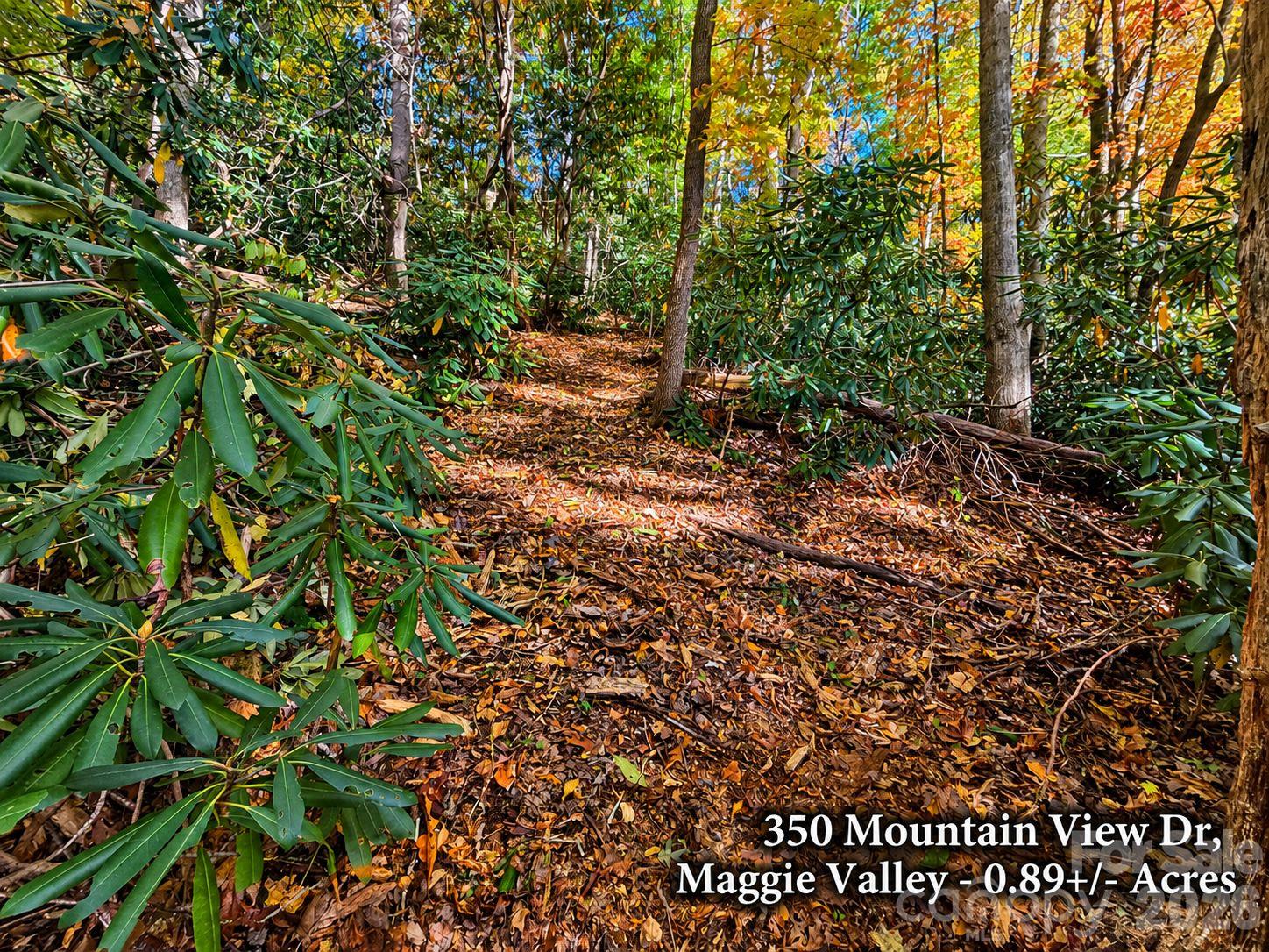 Lot at 350 Mountain View Drive, Maggie Valley, photo 5 of 21