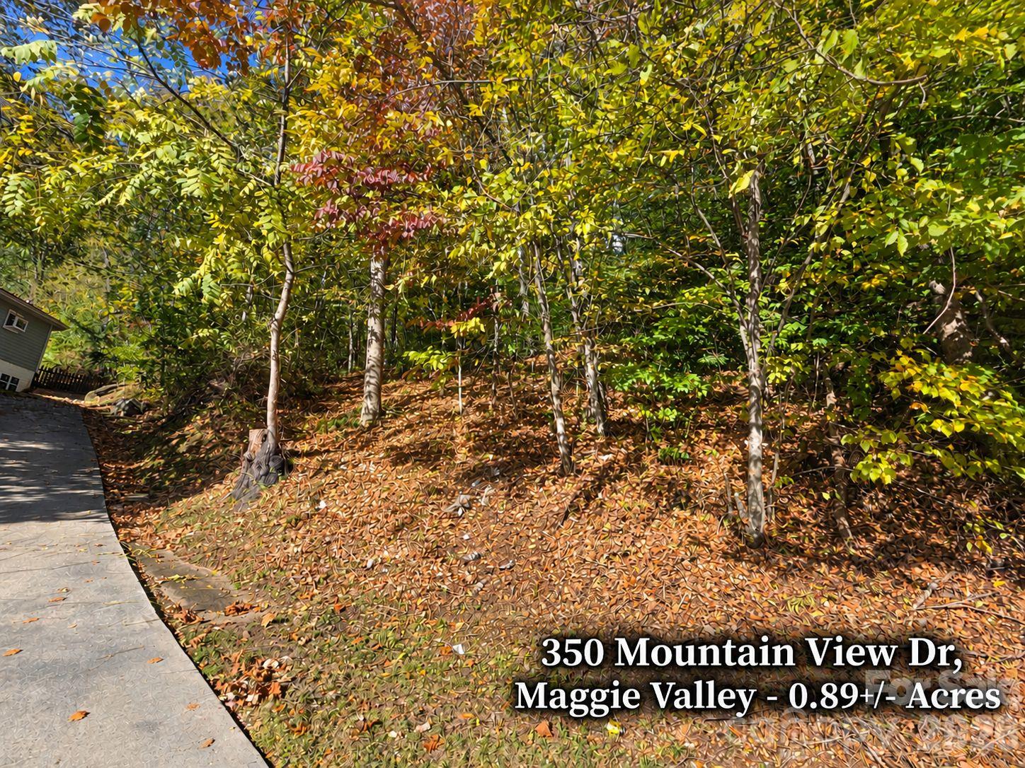 Lot at 350 Mountain View Drive, Maggie Valley, photo 18 of 21